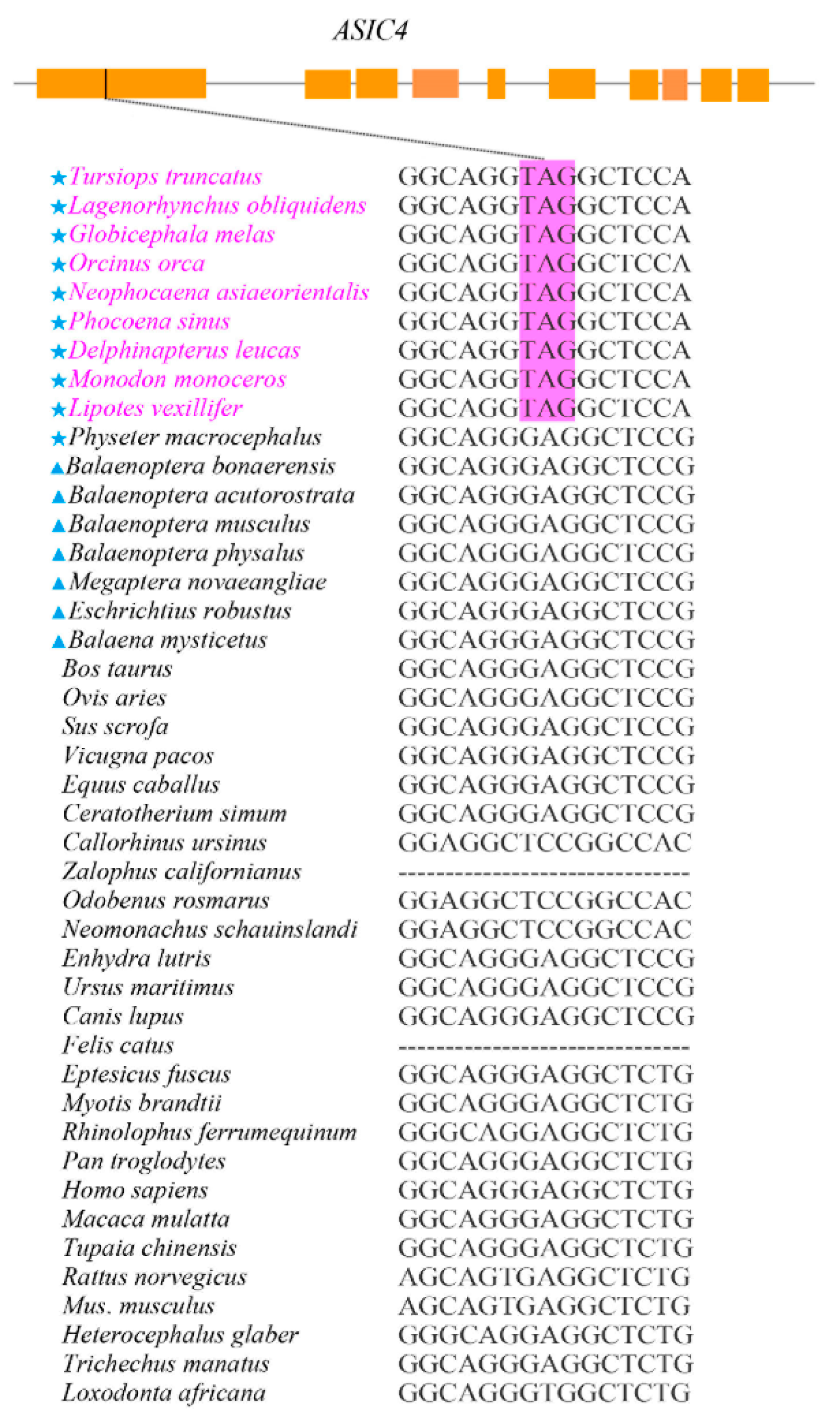 Animals 12 03571 g001