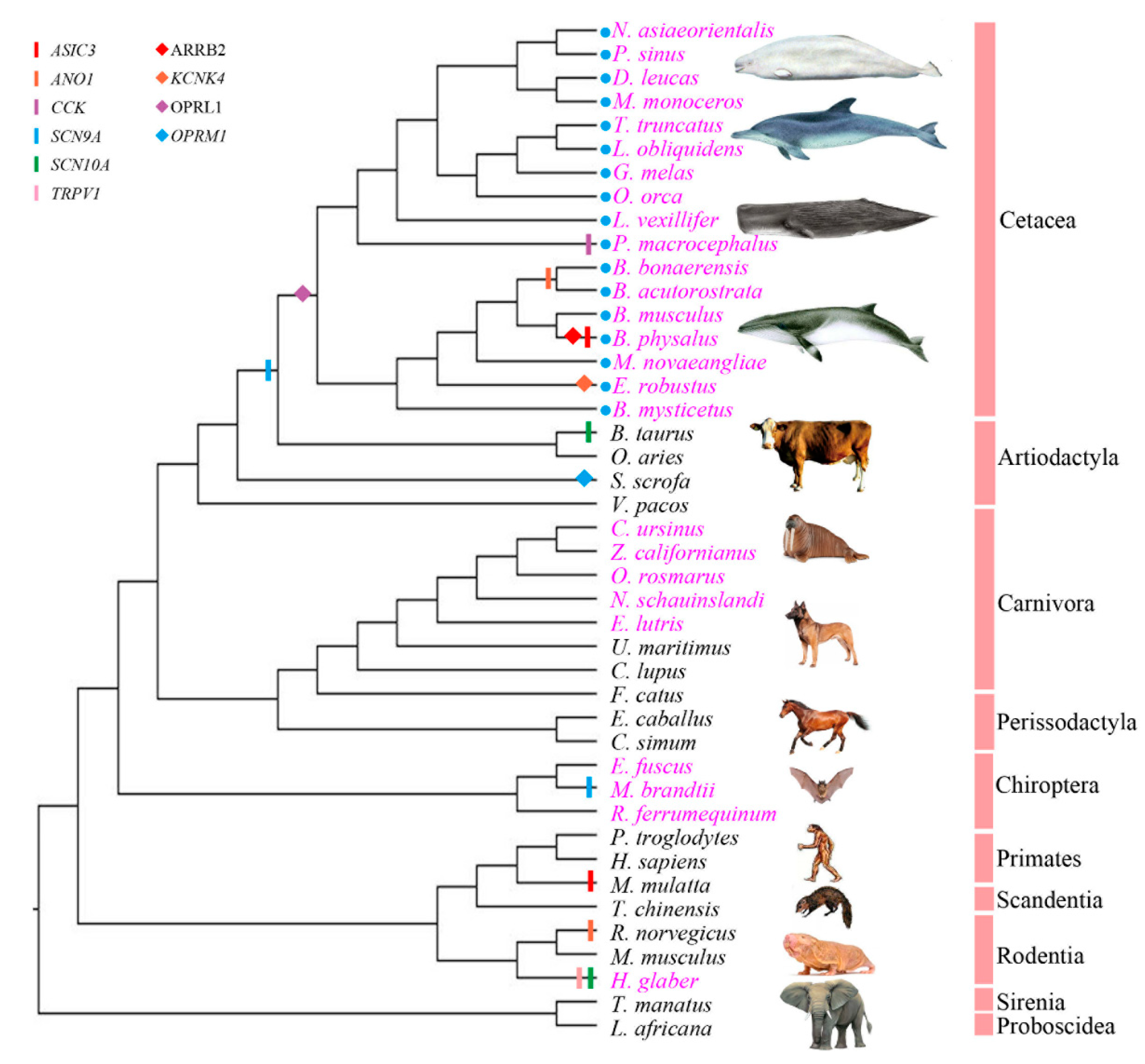 Animals 12 03571 g002