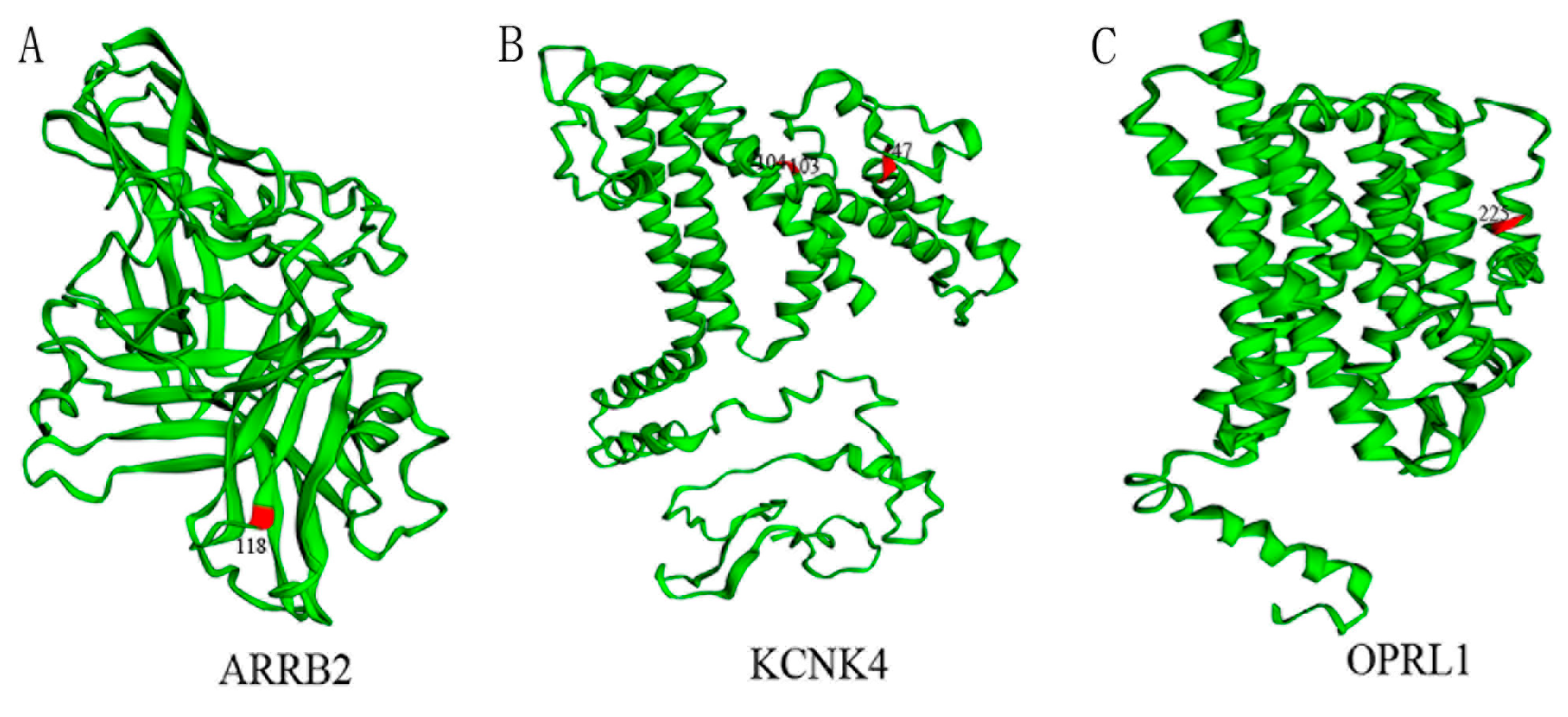 Animals 12 03571 g003