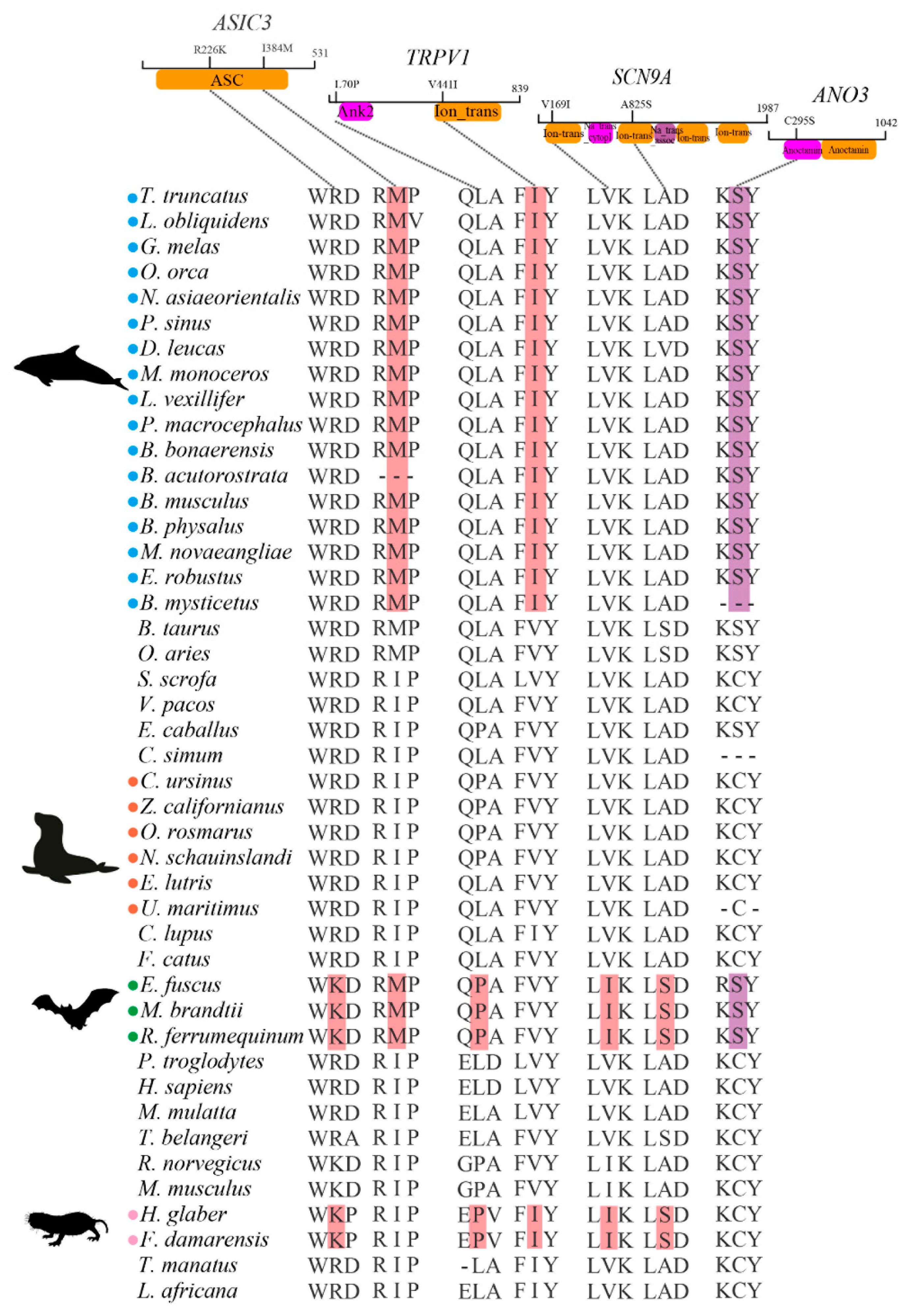 Animals 12 03571 g004