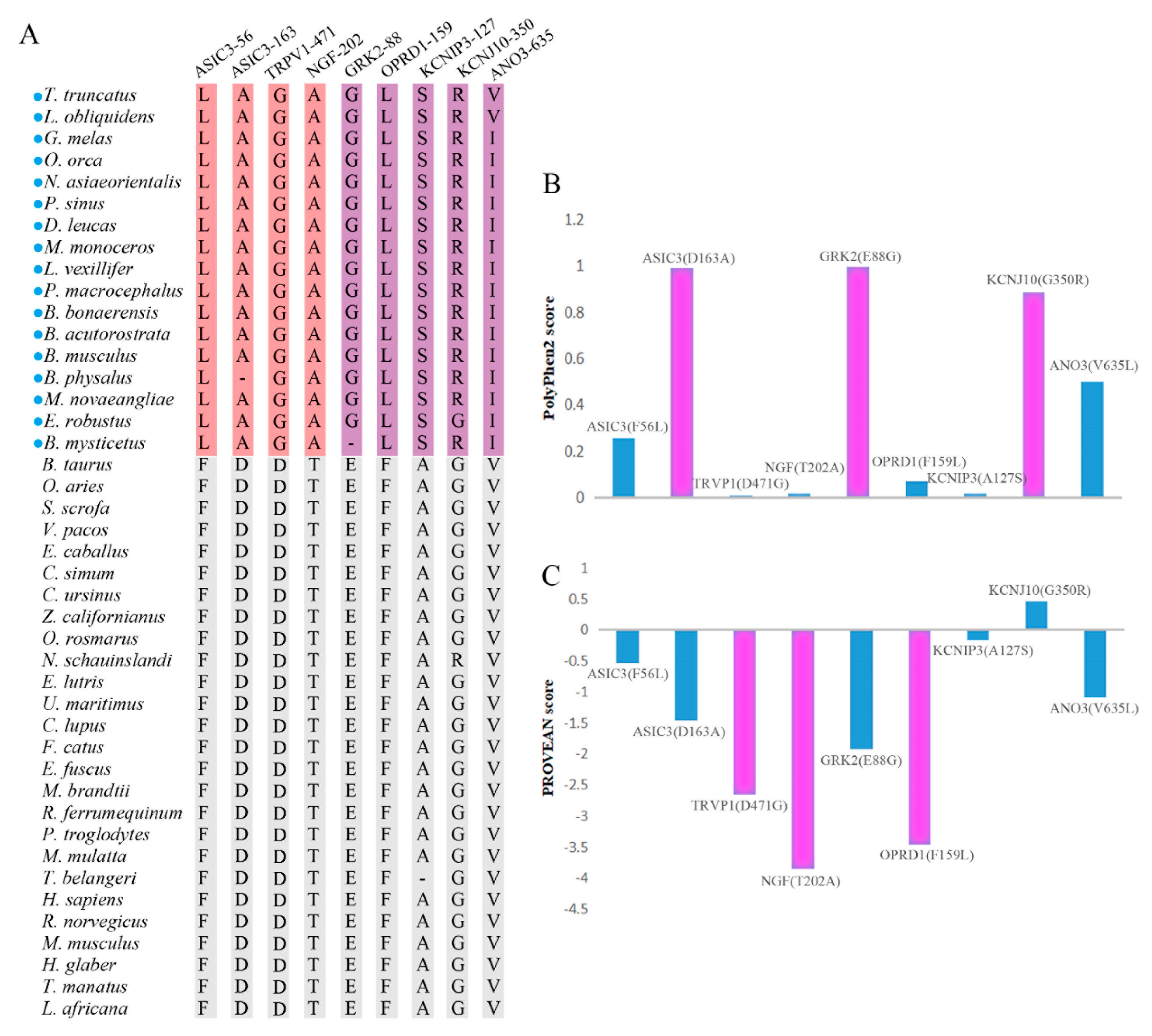 Animals 12 03571 g005