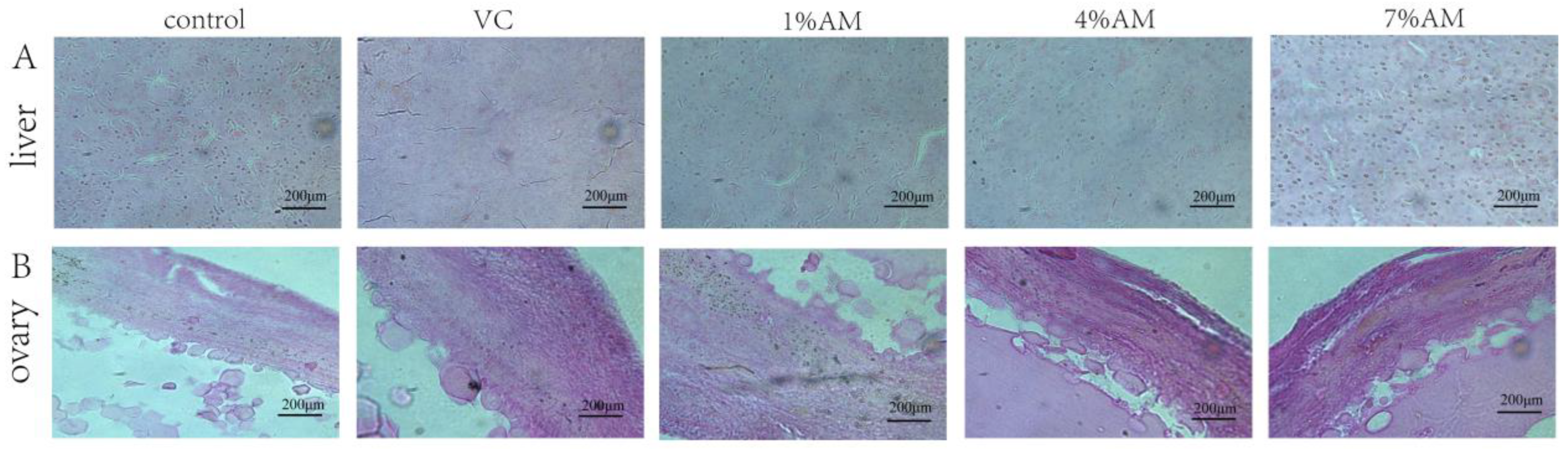 Animals 12 03574 g001