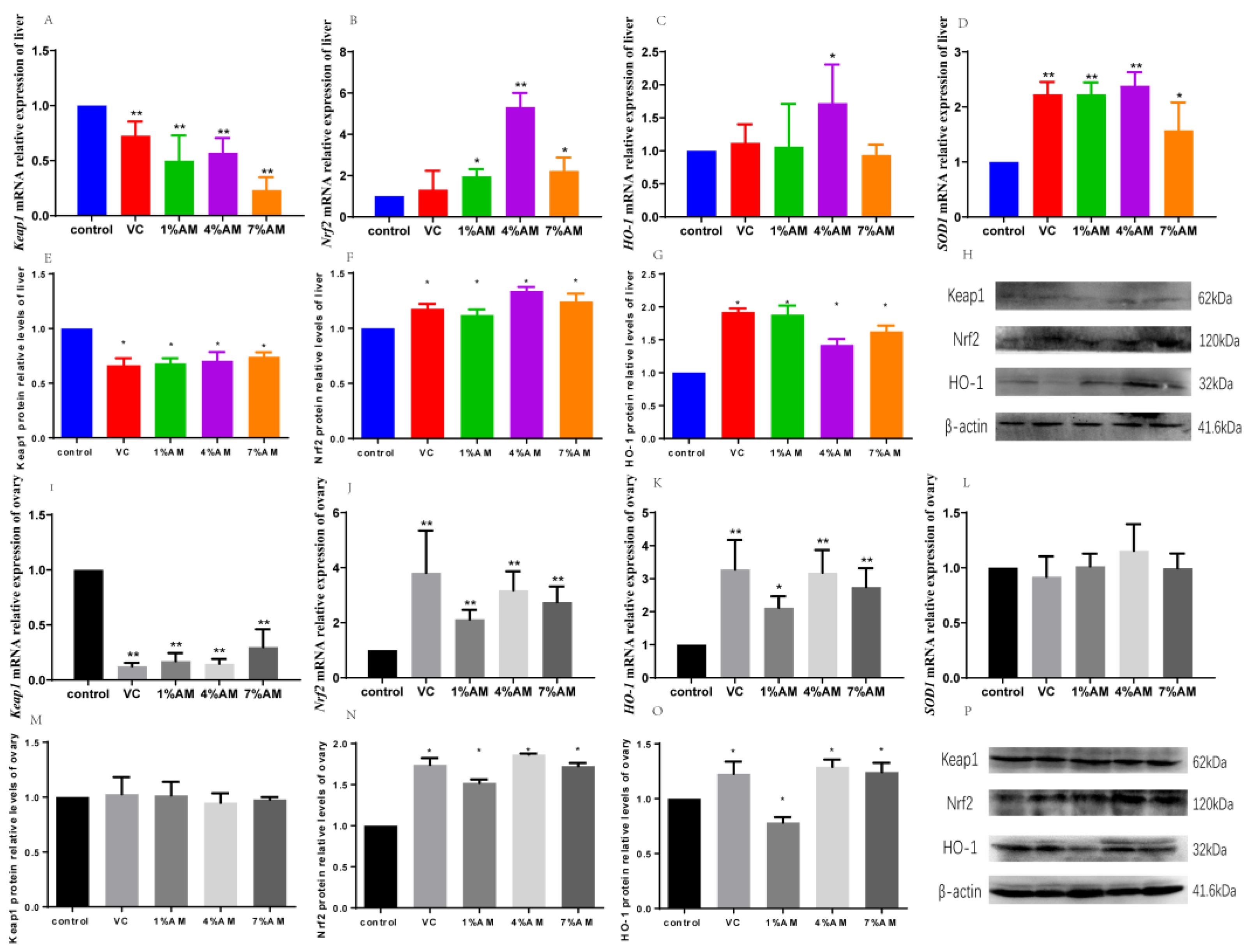 Animals 12 03574 g003