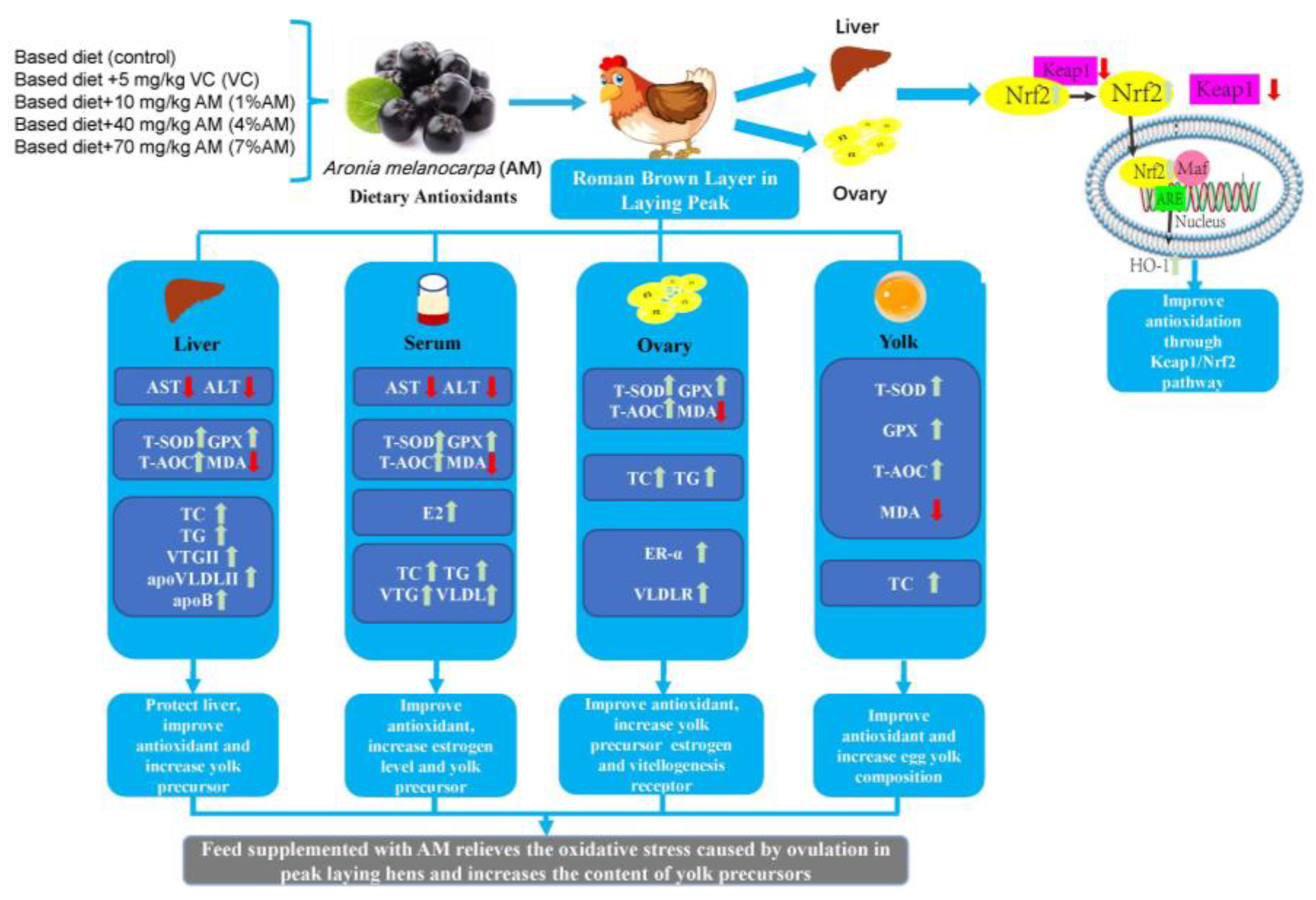 Animals 12 03574 g008
