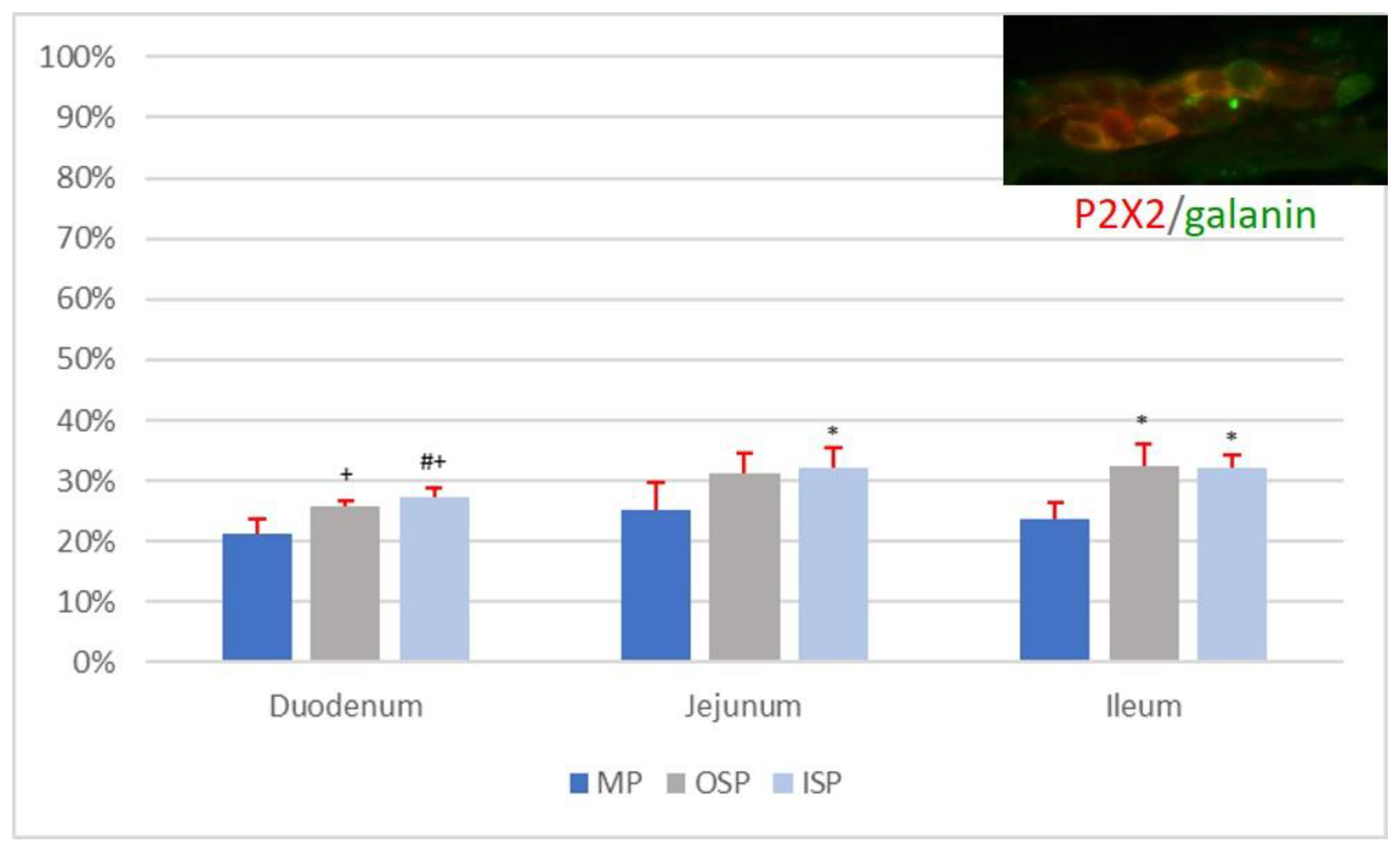 Animals 12 03576 g004