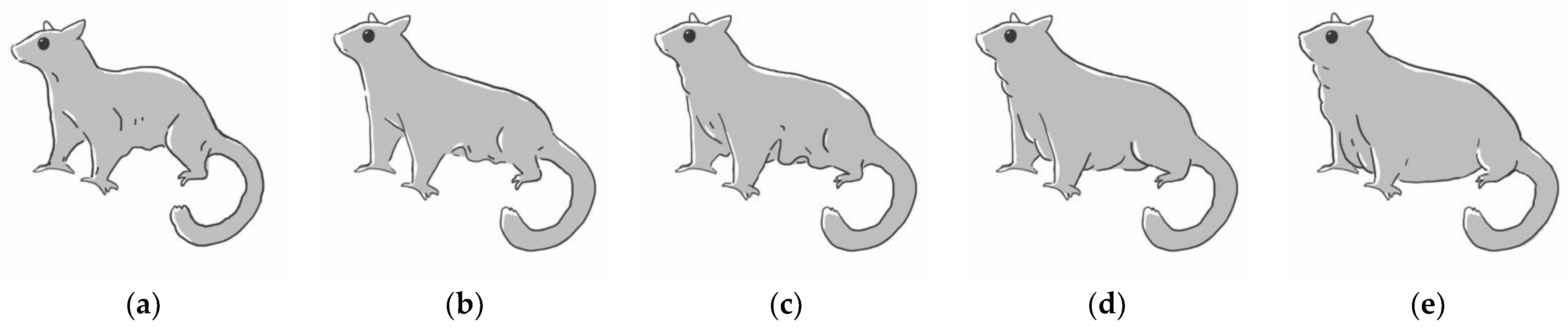 Animals 12 03583 g001