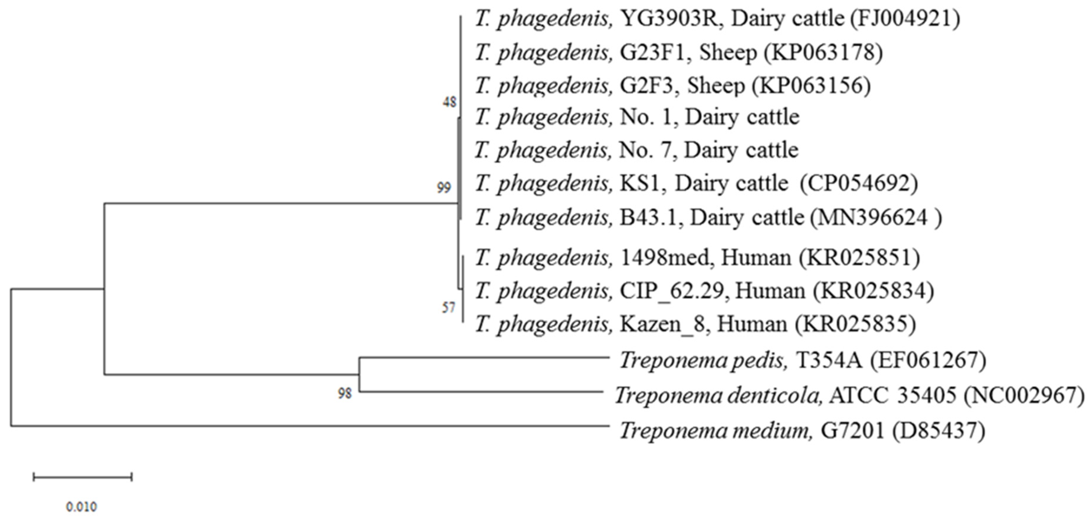 Animals 12 03584 g002