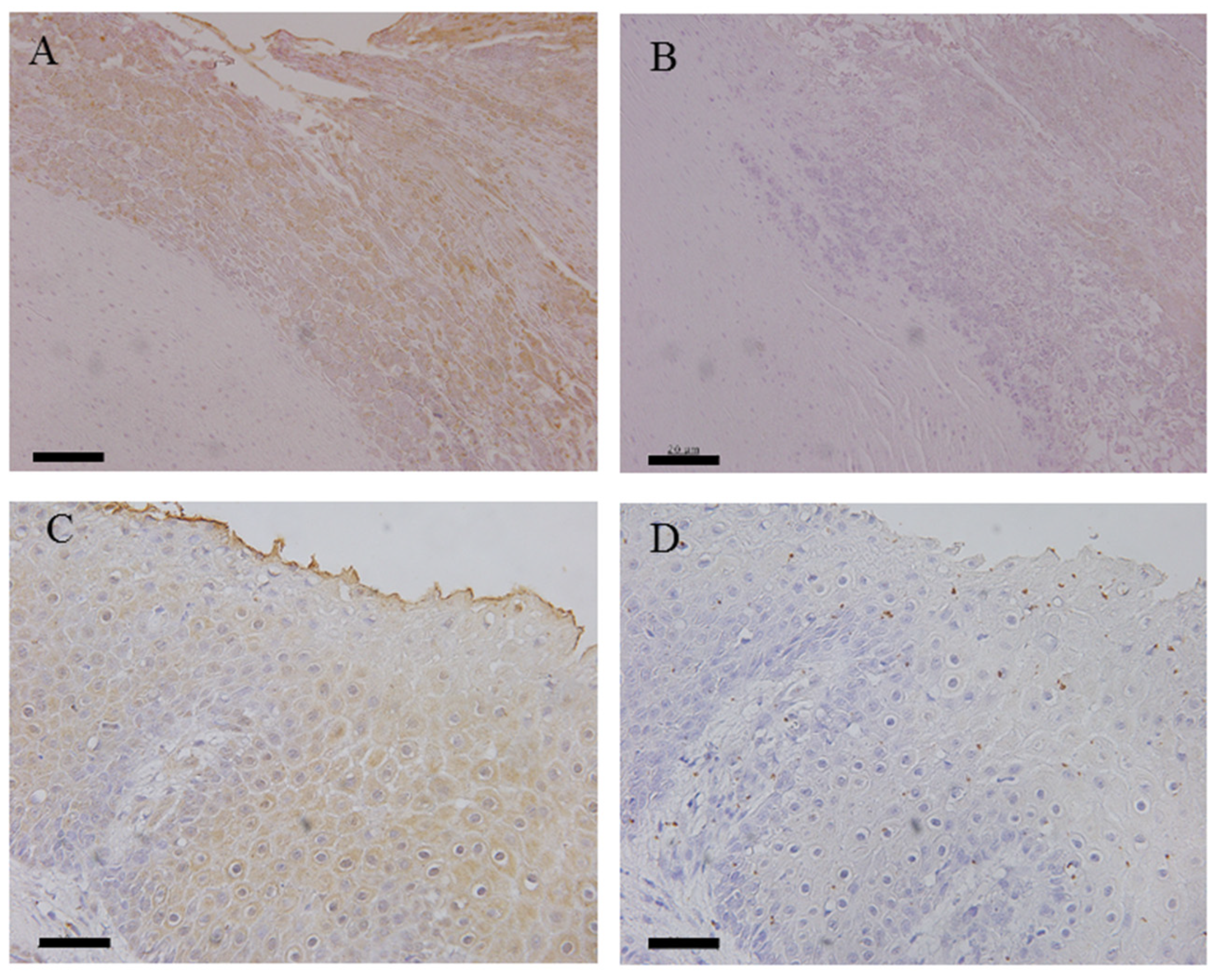 Animals 12 03584 g003