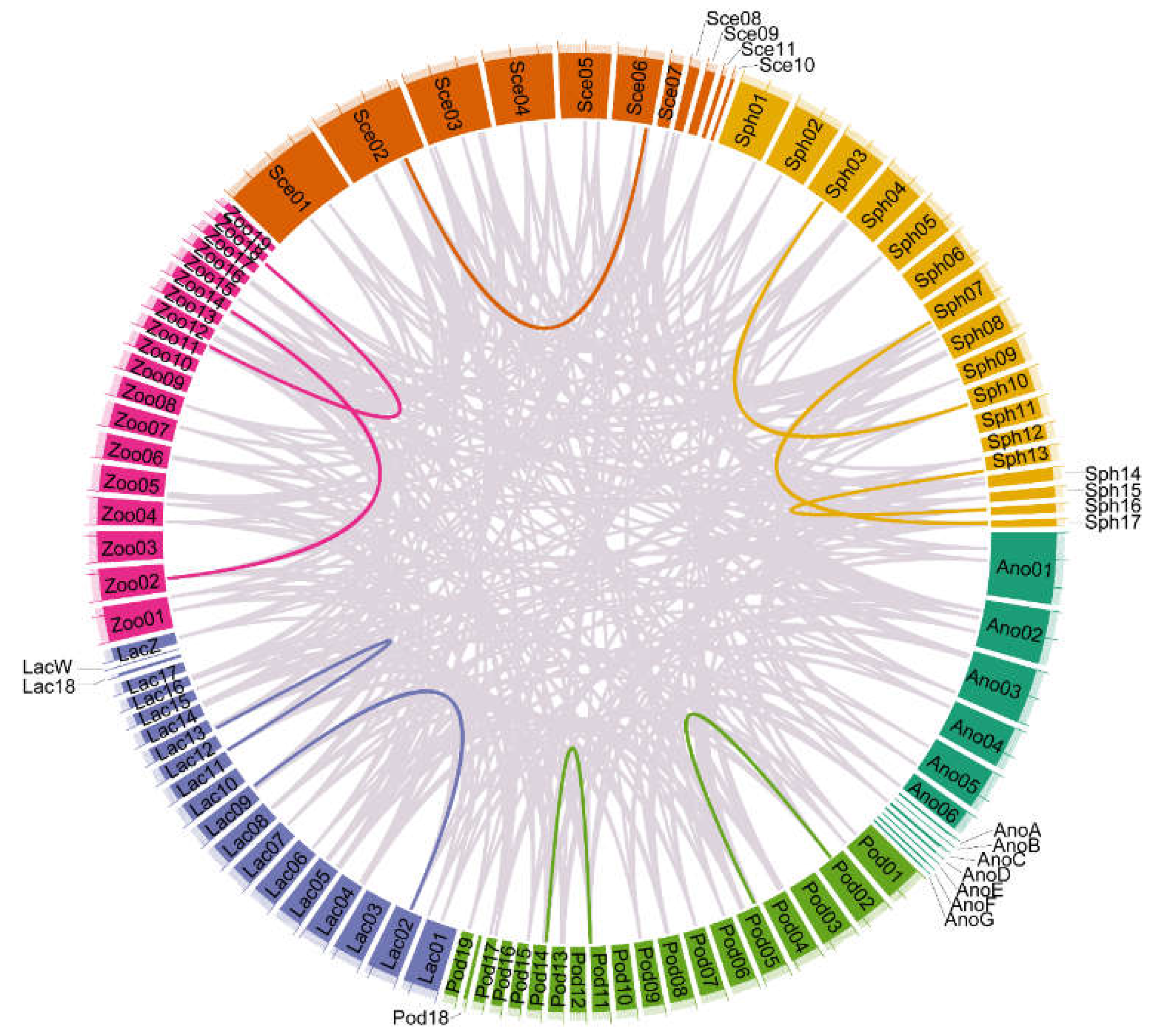 Animals 12 03593 g004