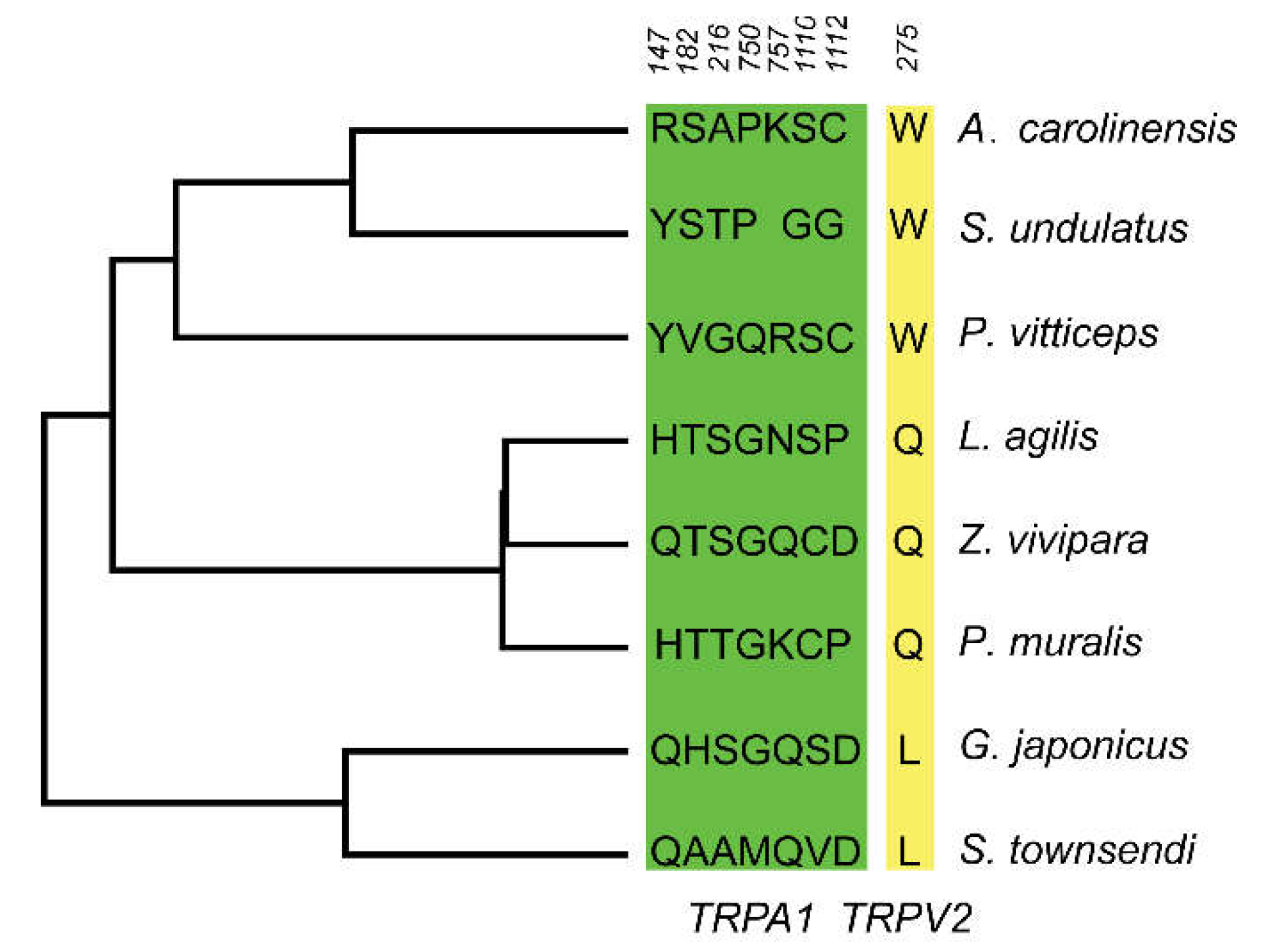 Animals 12 03593 g005