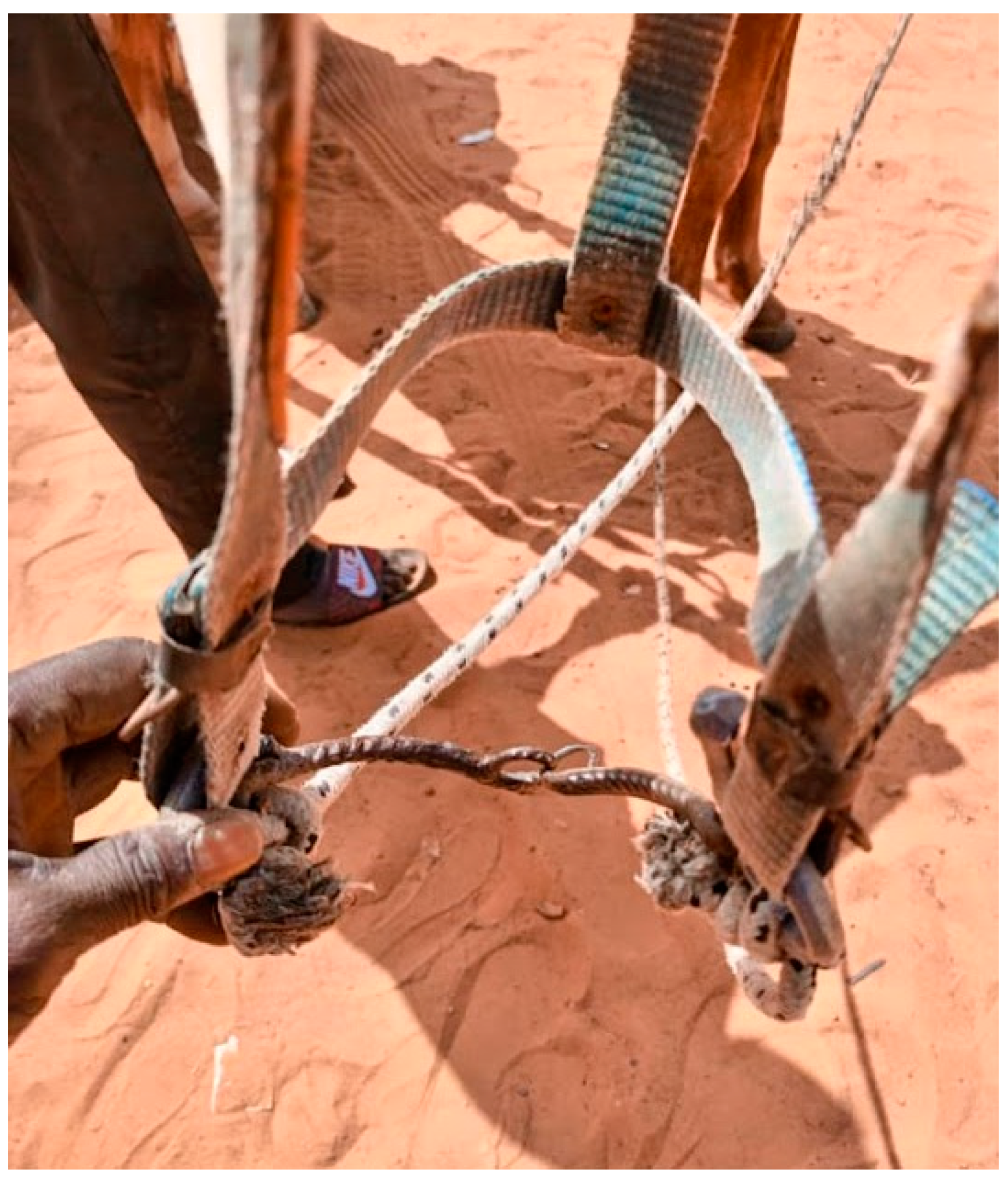 Animals 13 00002 g006