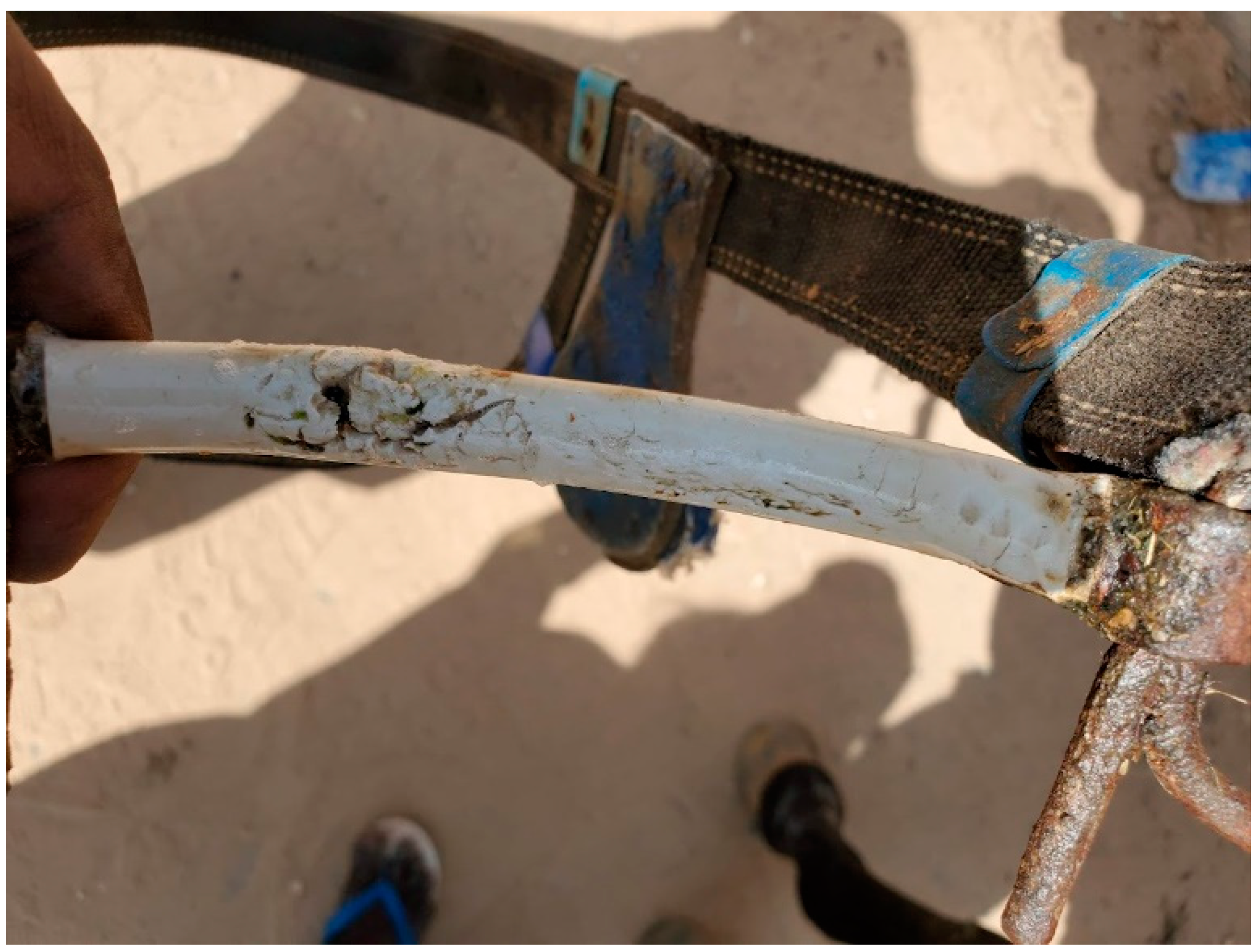 Animals 13 00002 g009