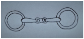 Animals 13 00002 i002 Animals 13 00002 i002