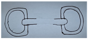 Animals 13 00002 i003 Animals 13 00002 i003