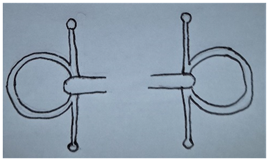 Animals 13 00002 i004 Animals 13 00002 i004