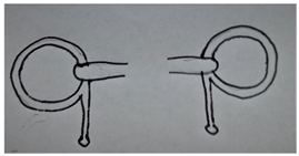 Animals 13 00002 i005 Animals 13 00002 i005