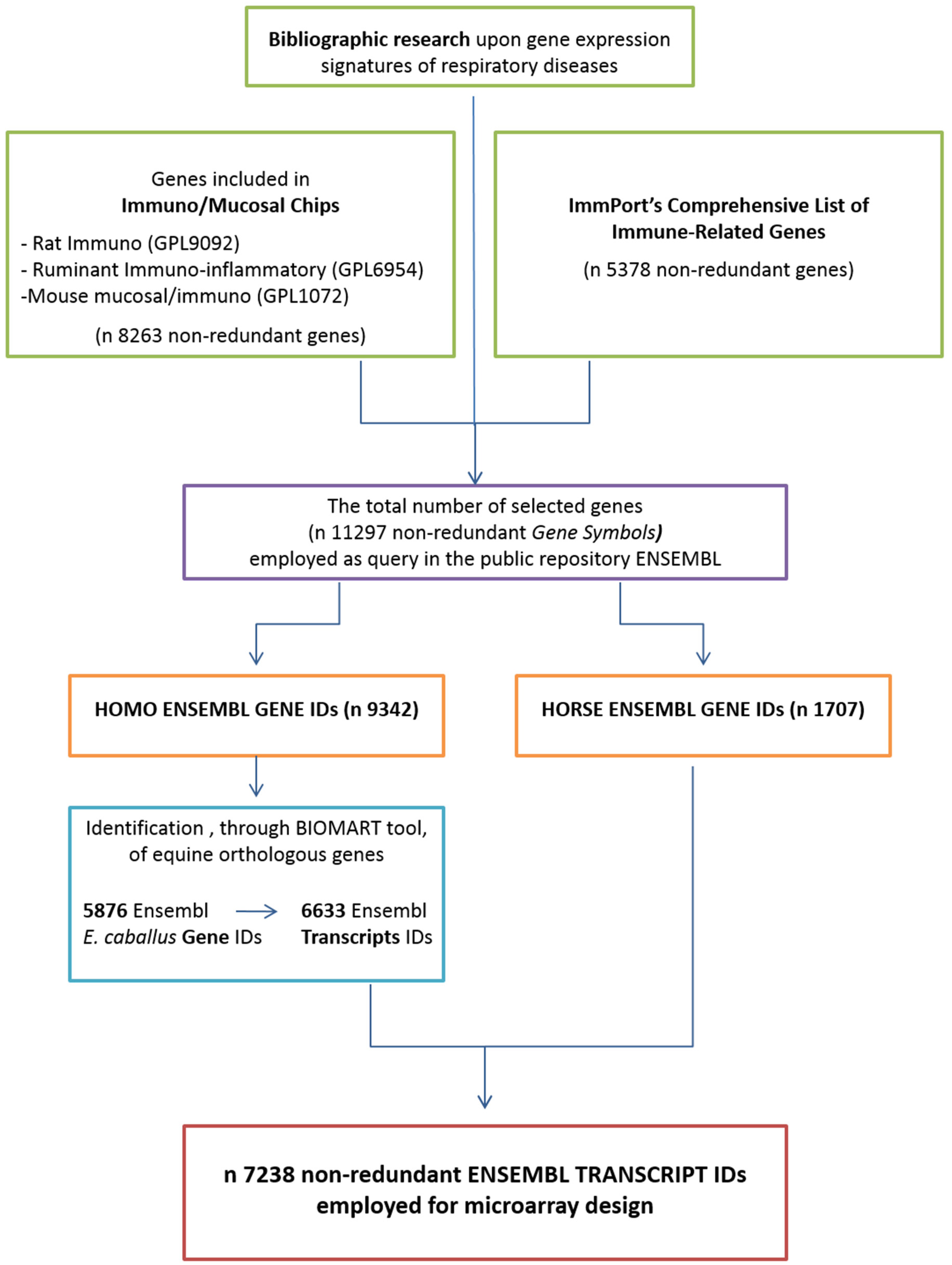 Animals 13 00004 g001