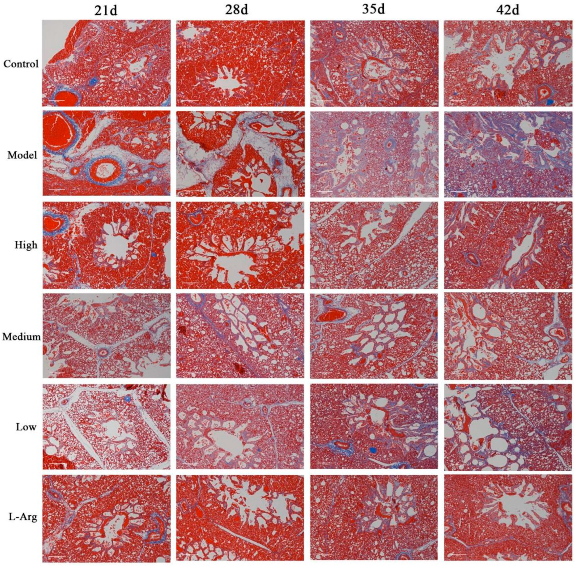 Animals 13 00005 g002