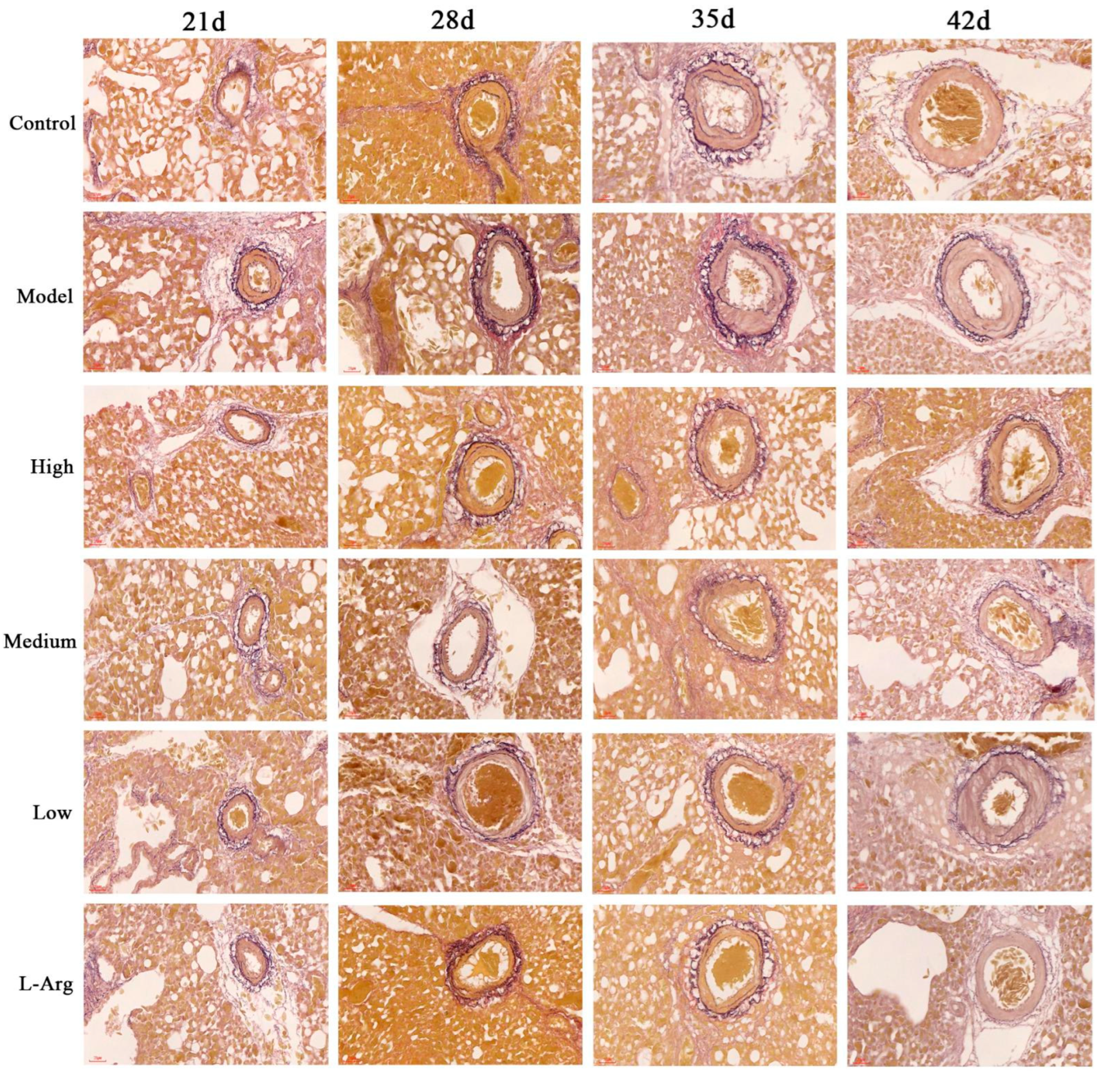 Animals 13 00005 g004