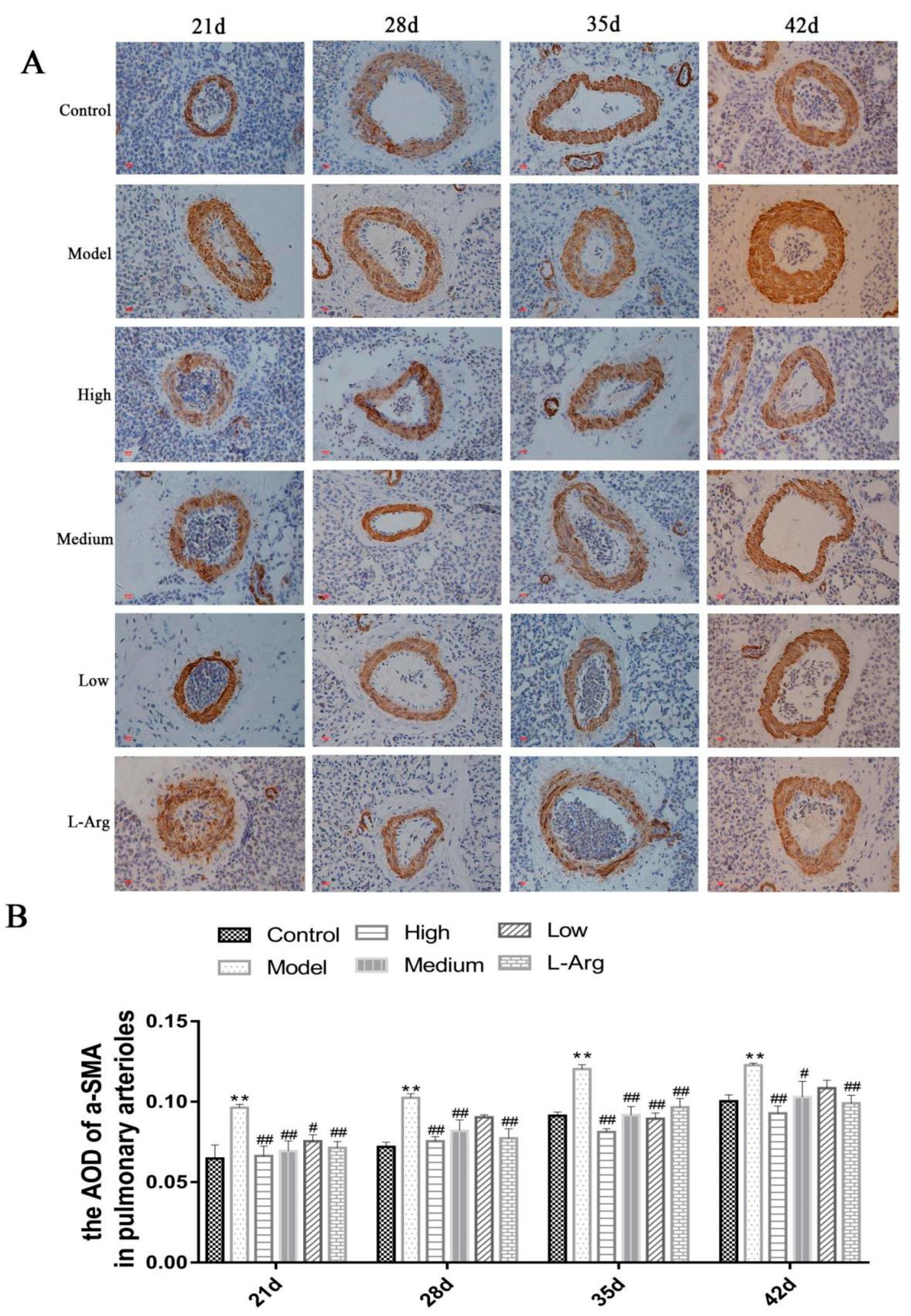 Animals 13 00005 g006