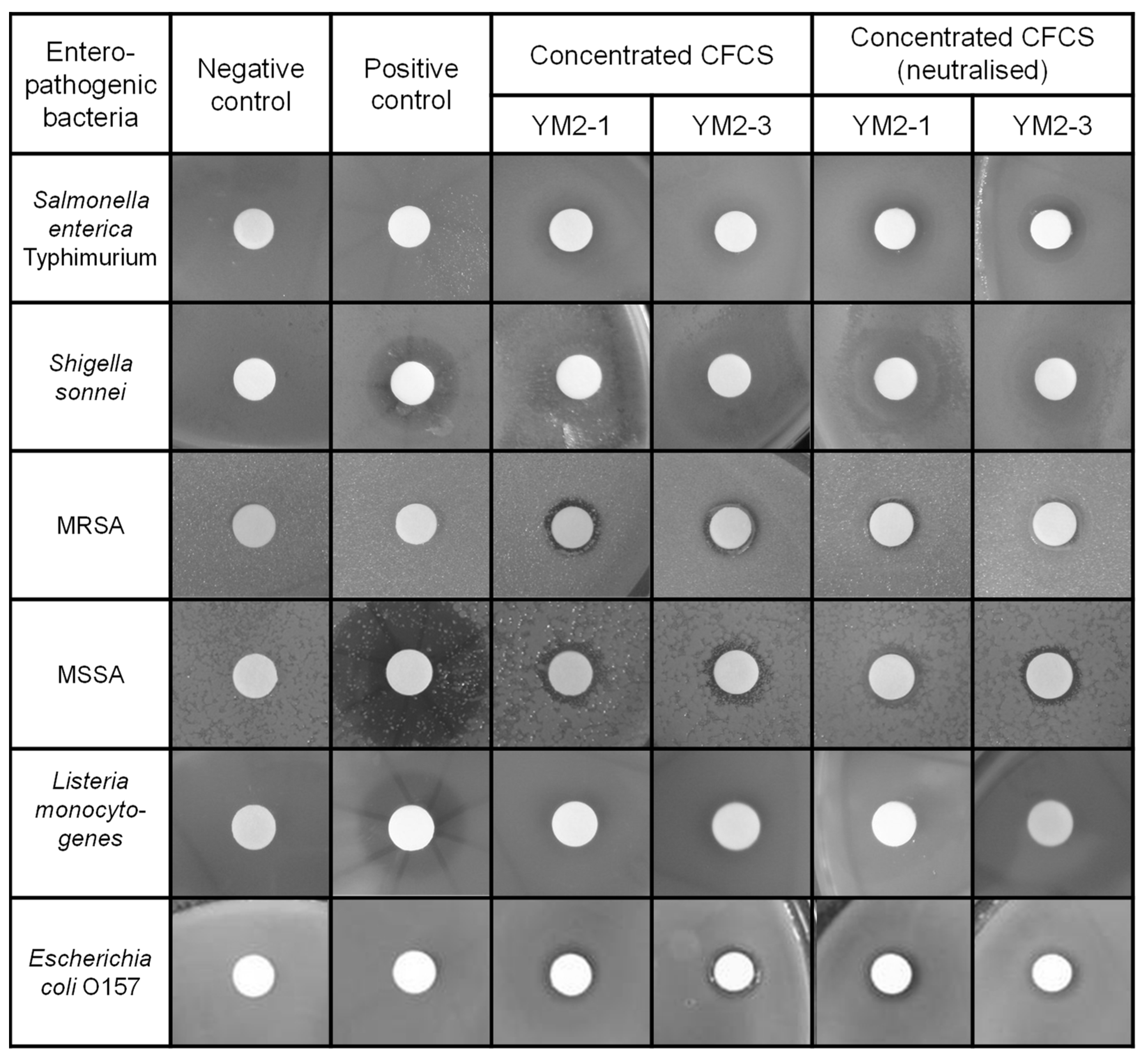 Animals 13 00007 g002