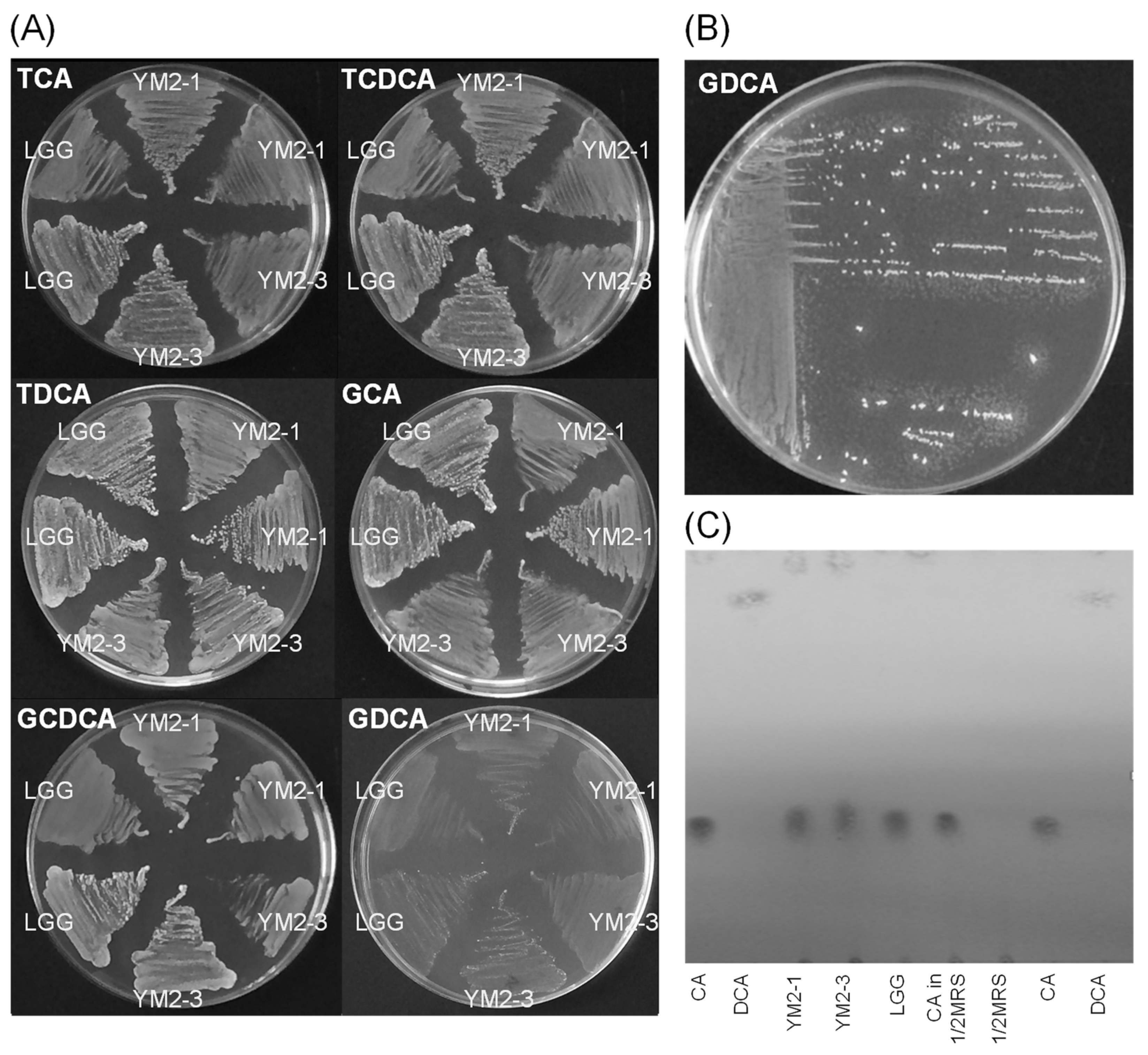 Animals 13 00007 g003