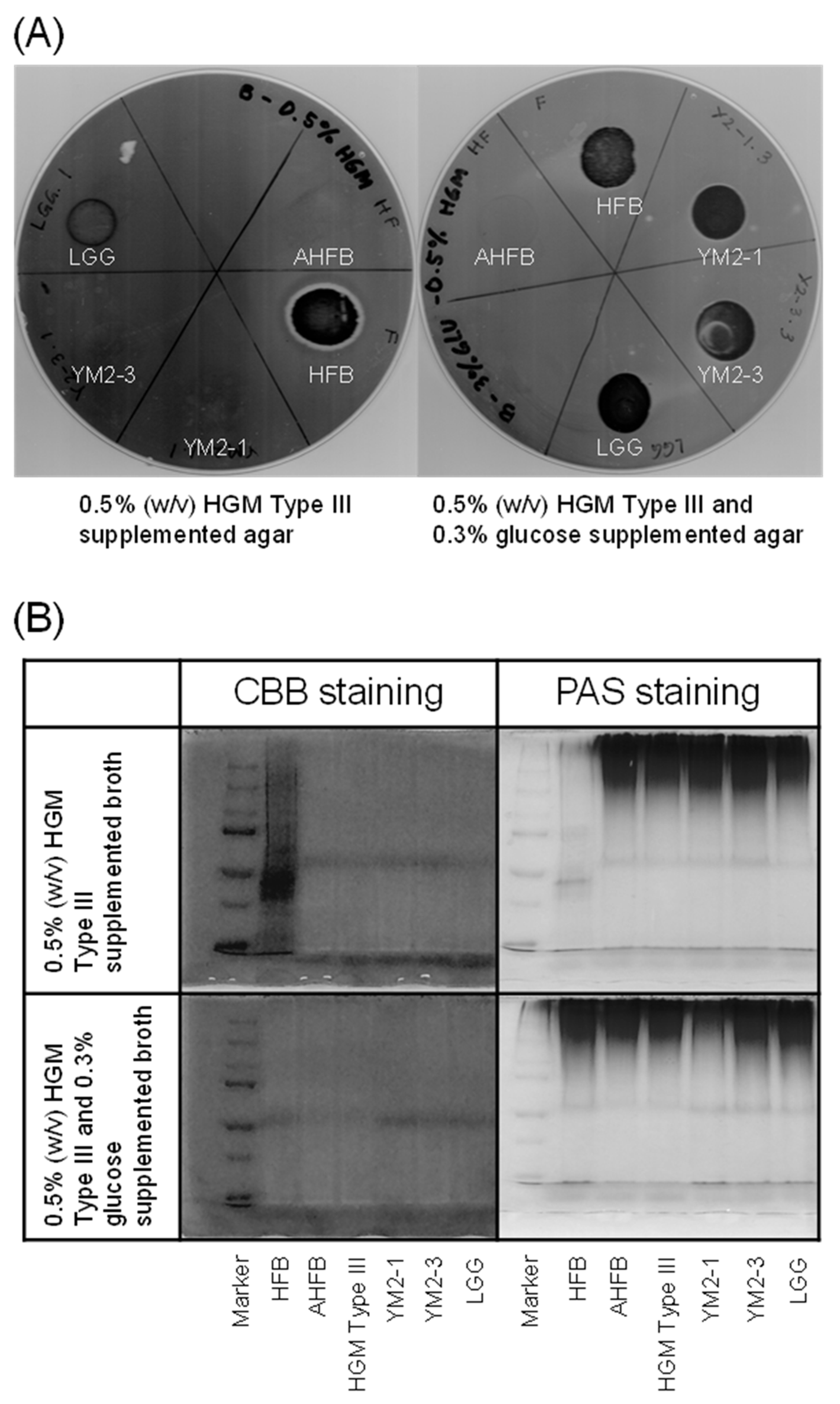 Animals 13 00007 g004