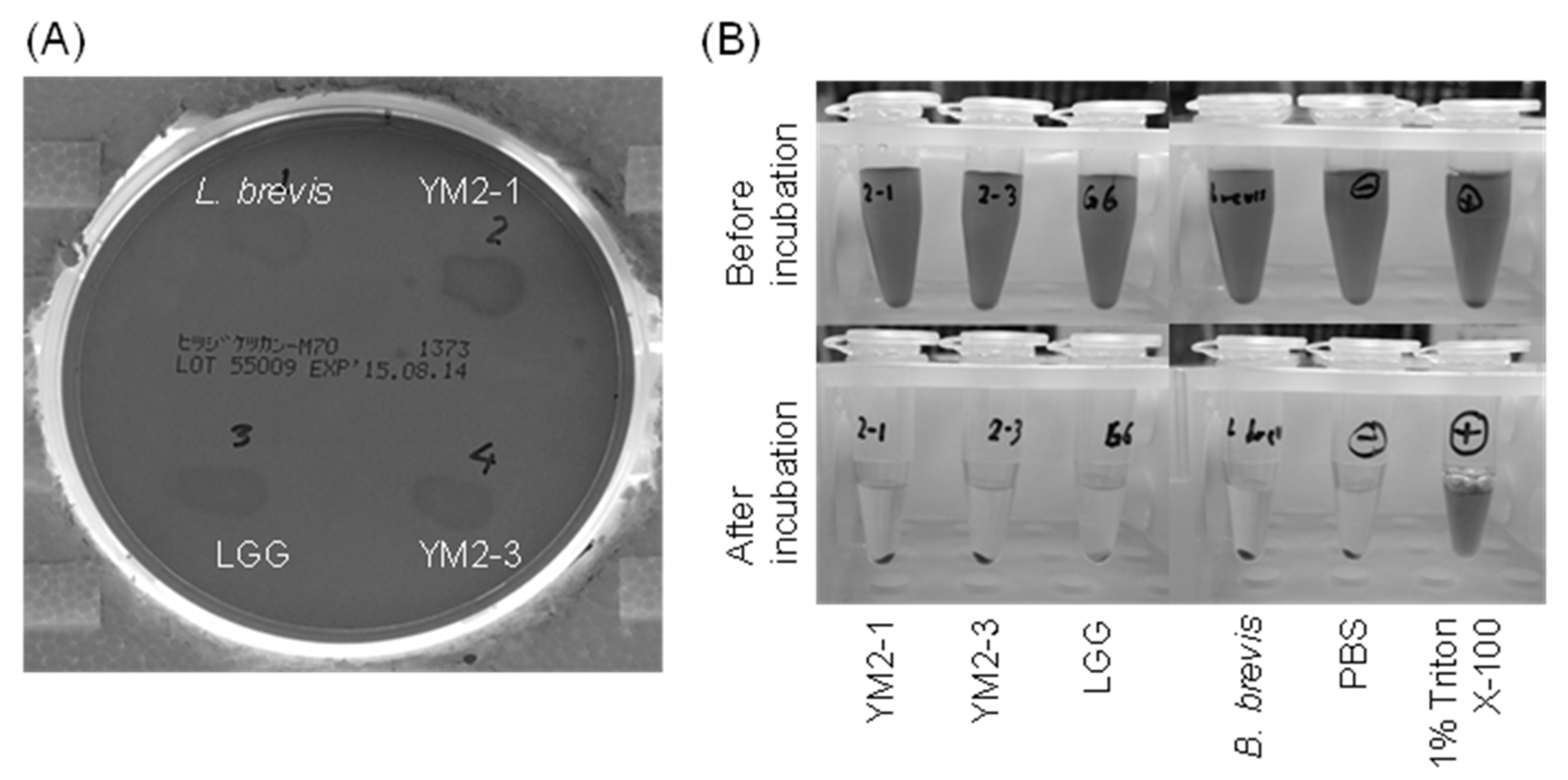 Animals 13 00007 g006