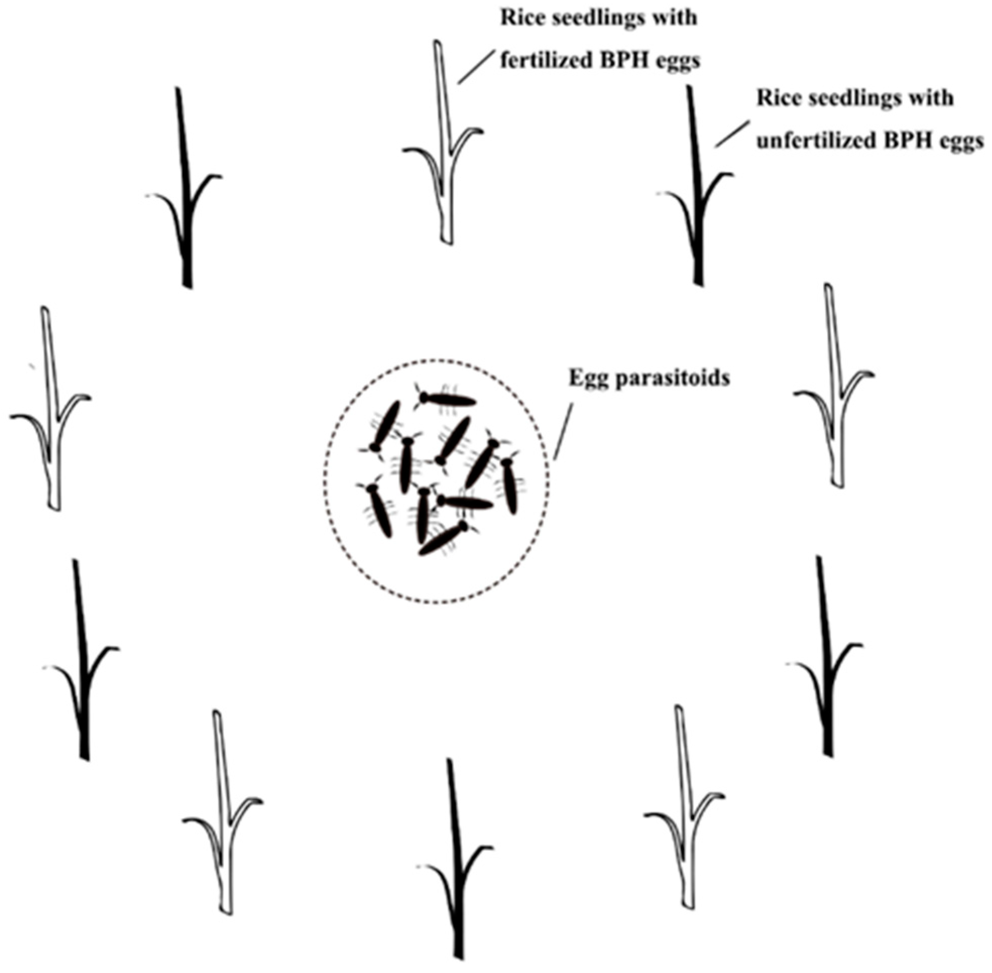 Animals 13 00012 g001 Animals 13 00012 g001