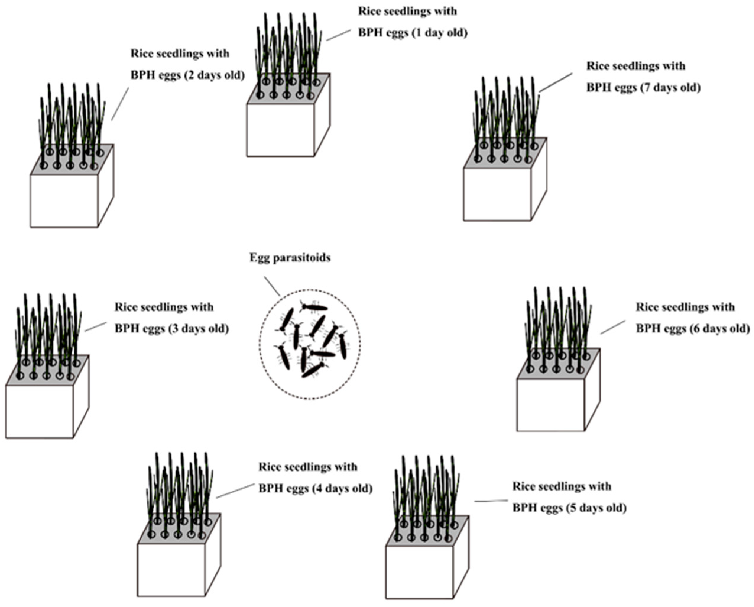 Animals 13 00012 g002 Animals 13 00012 g002
