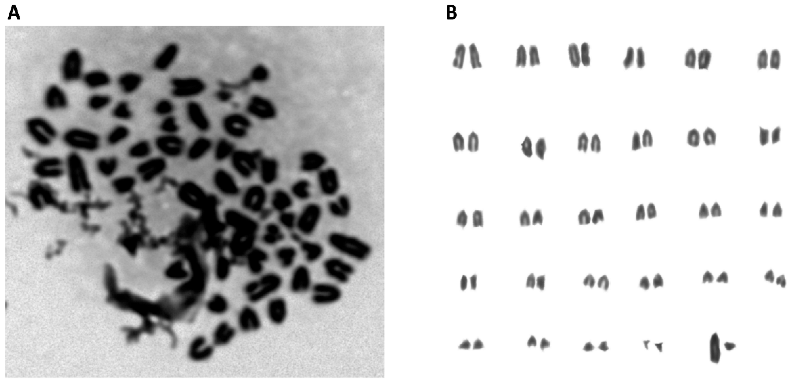 Animals 13 00017 g002