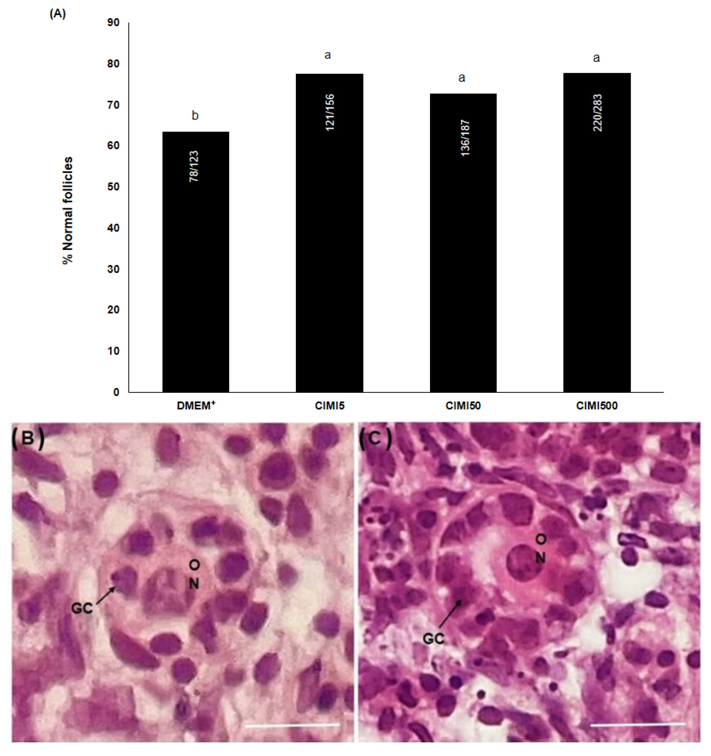 Animals 13 00018 g001