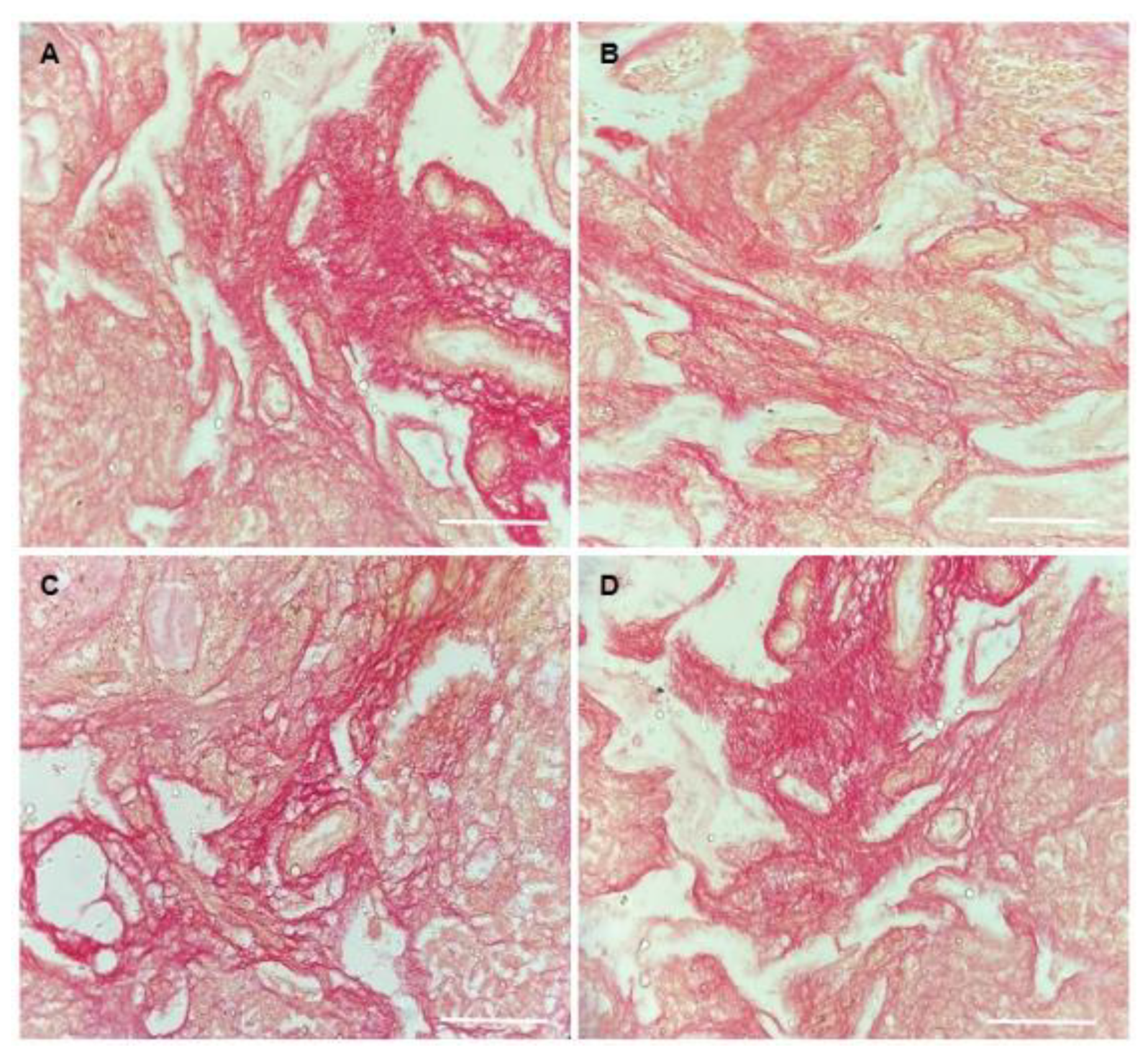 Animals 13 00018 g008