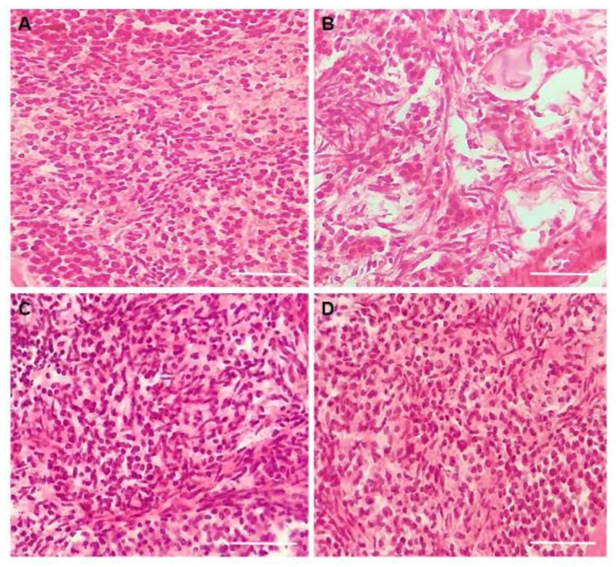 Animals 13 00018 g010