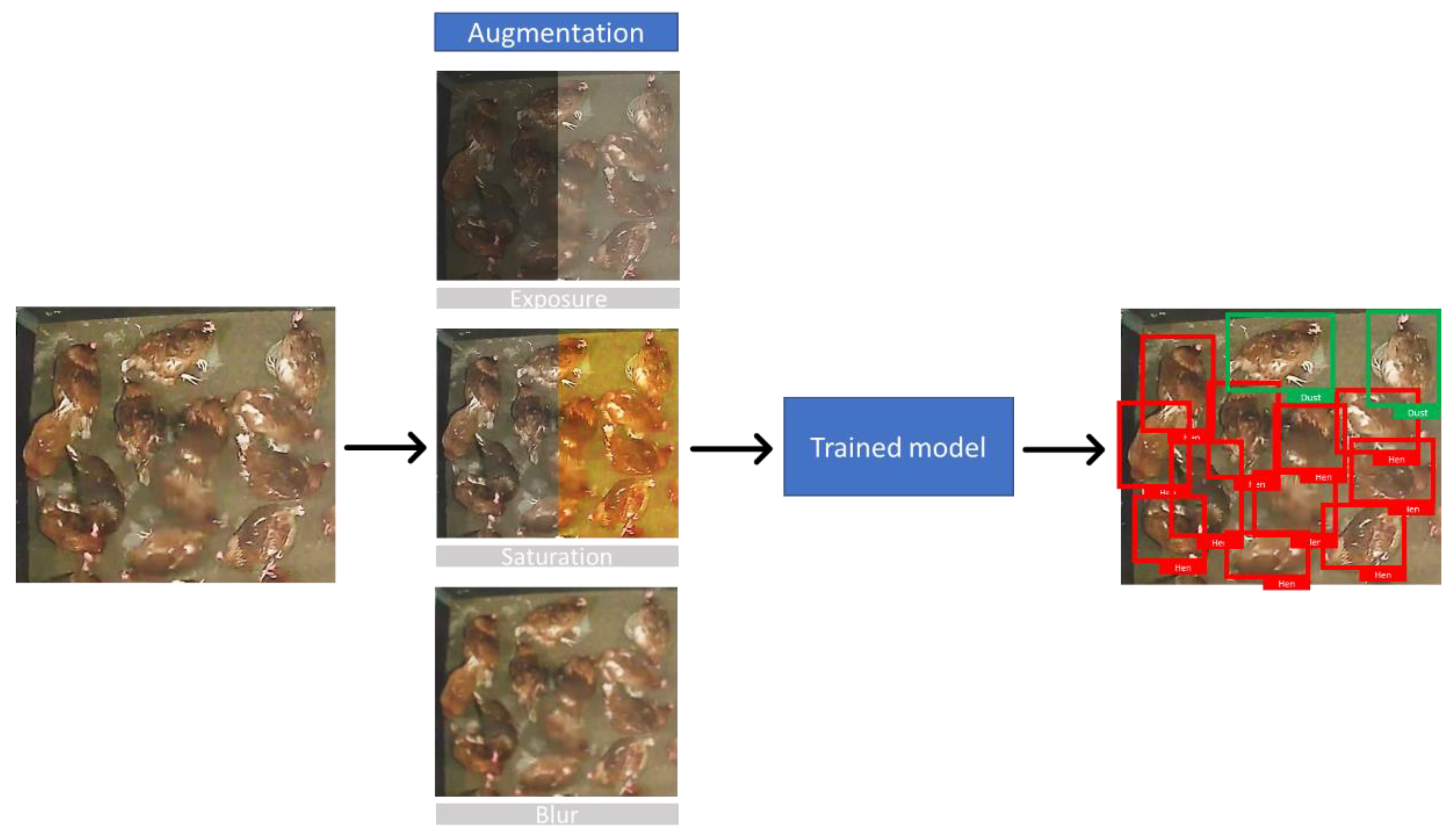 Animals 13 00033 g002