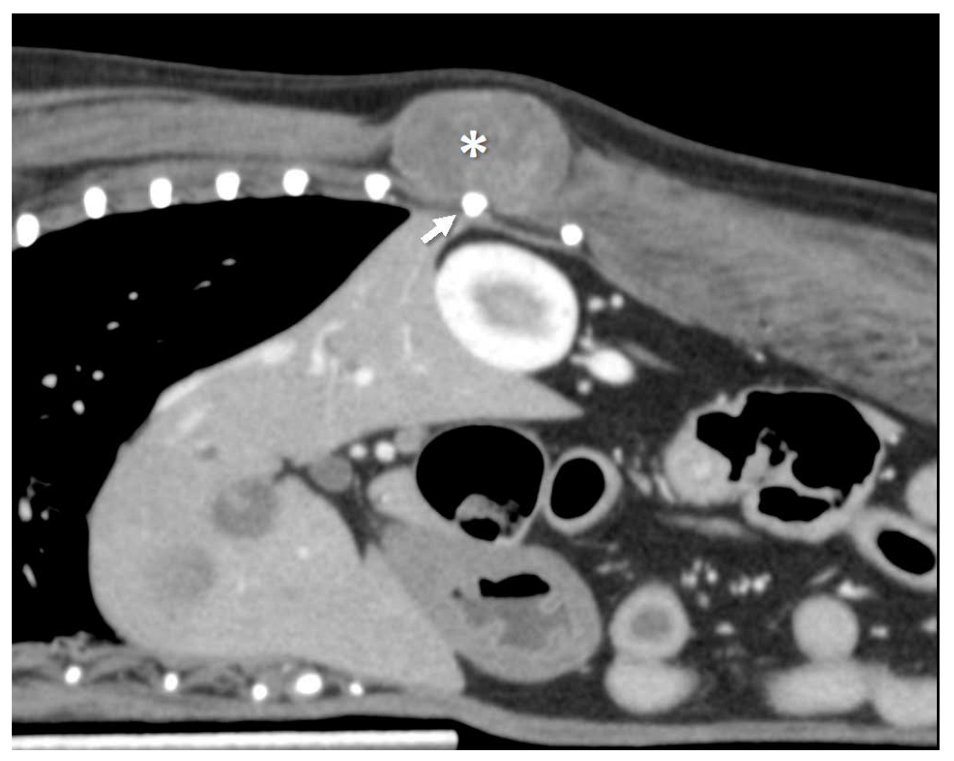 Animals 13 00034 g001