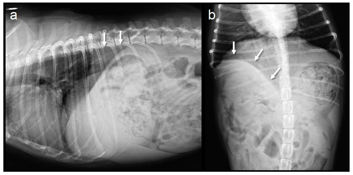 Animals 13 00034 g003