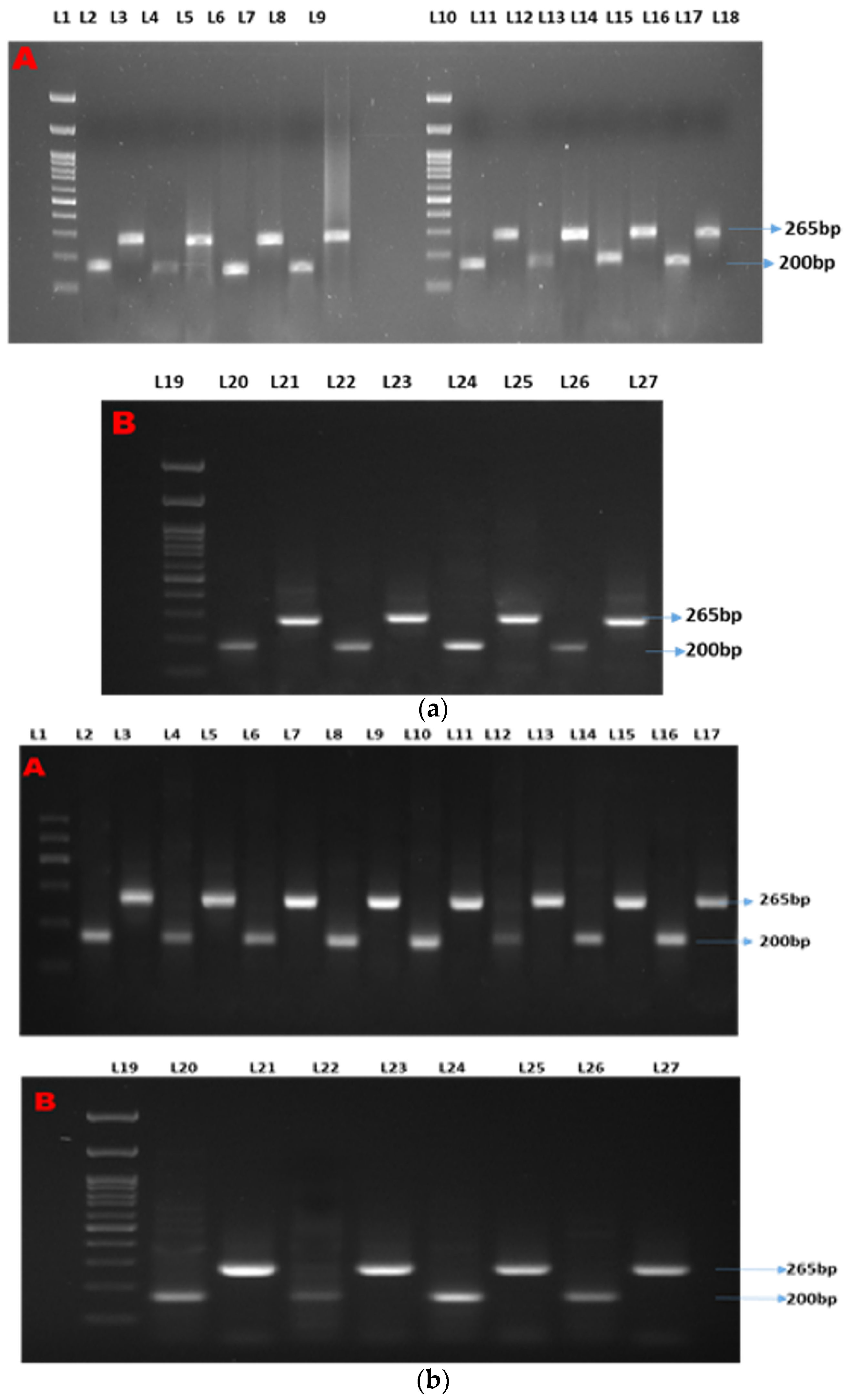 Animals 13 00039 g001a