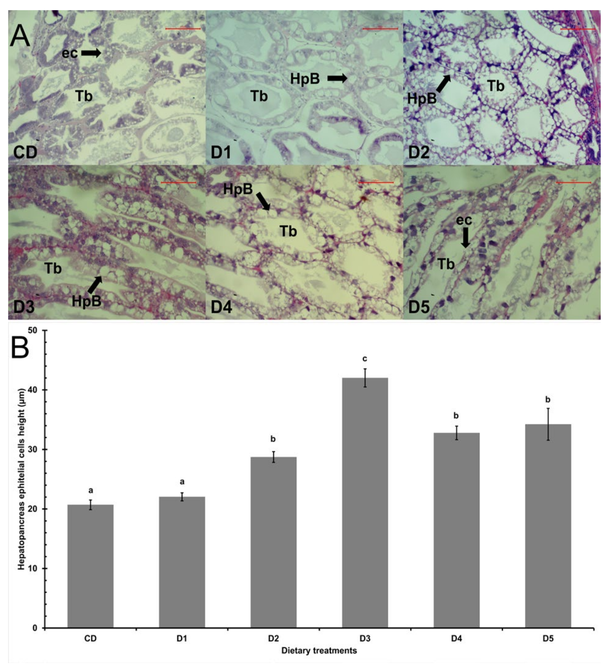 Animals 13 00043 g001