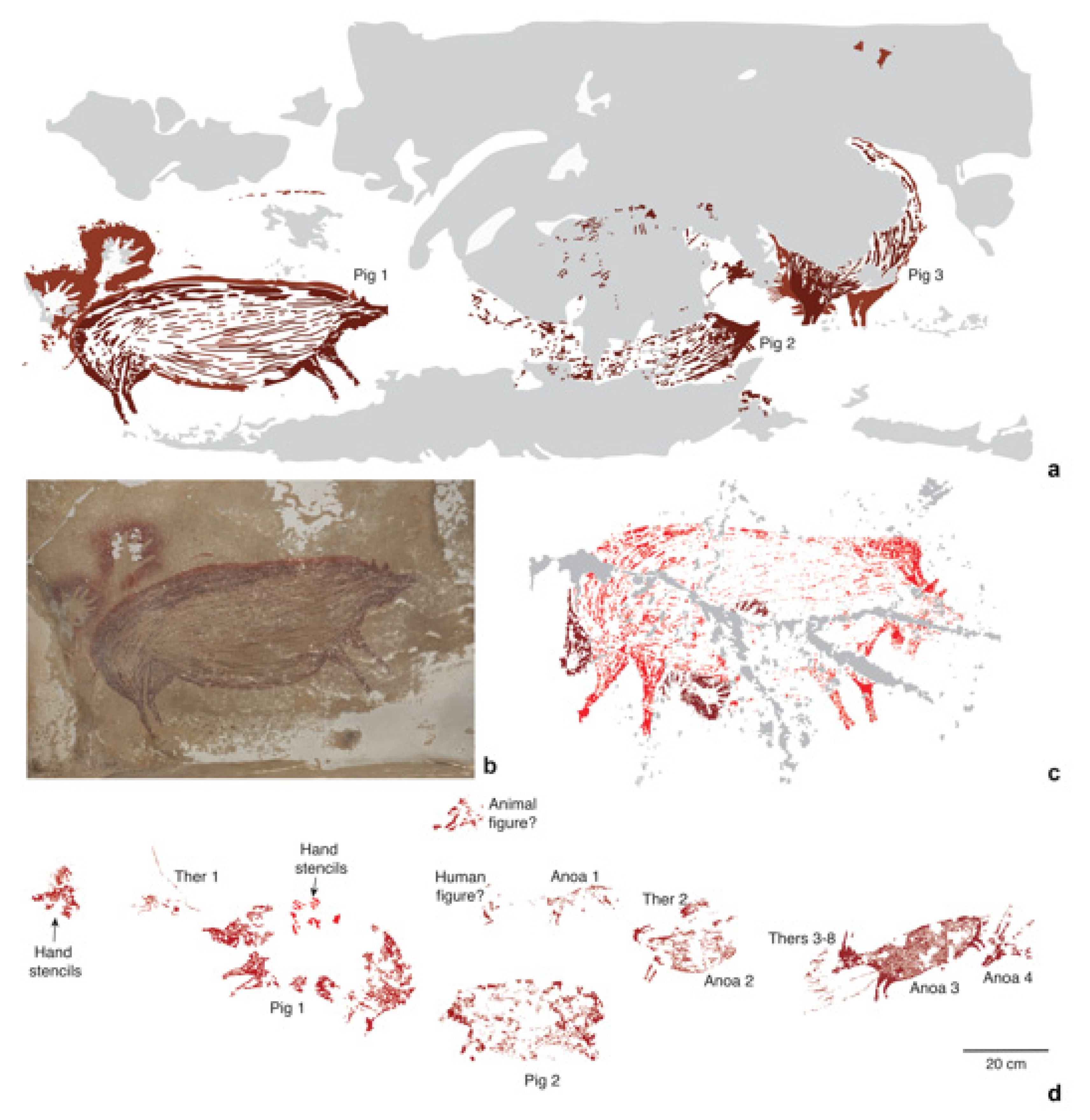 Animals 13 00048 g004