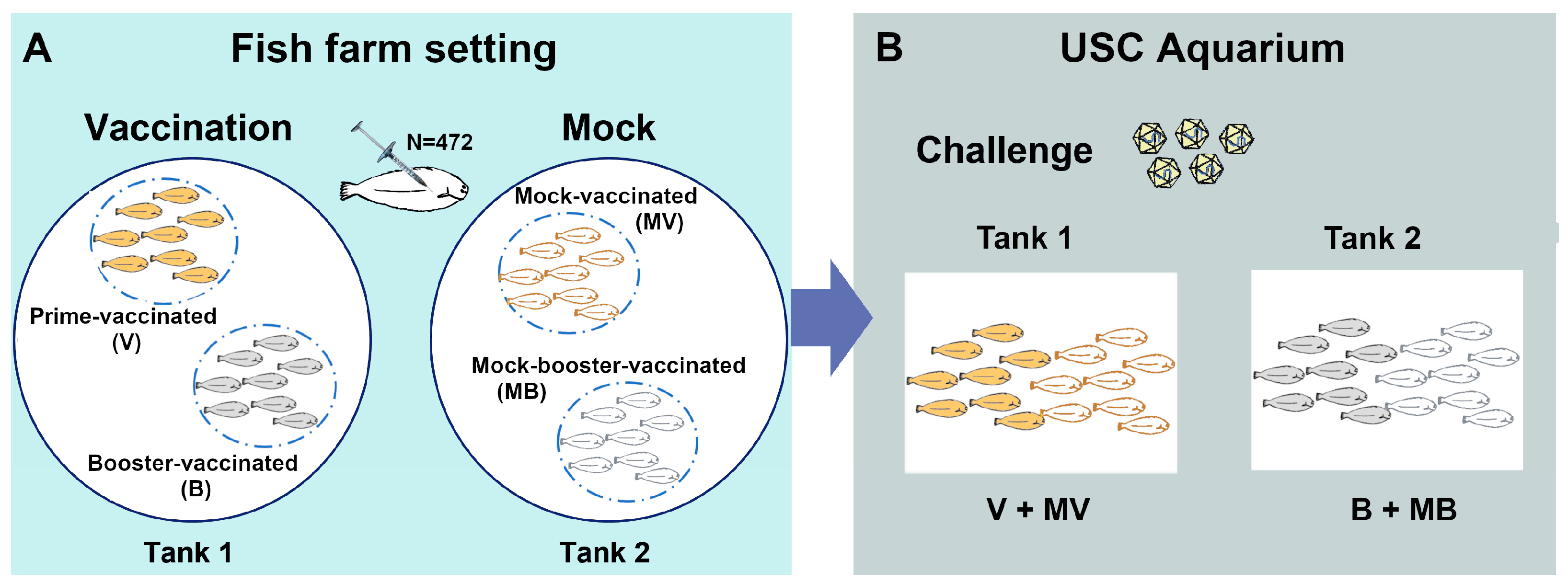 Animals 13 00051 g001