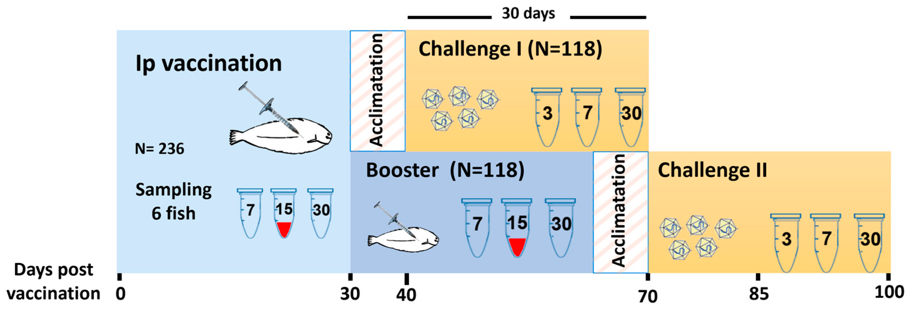 Animals 13 00051 g002