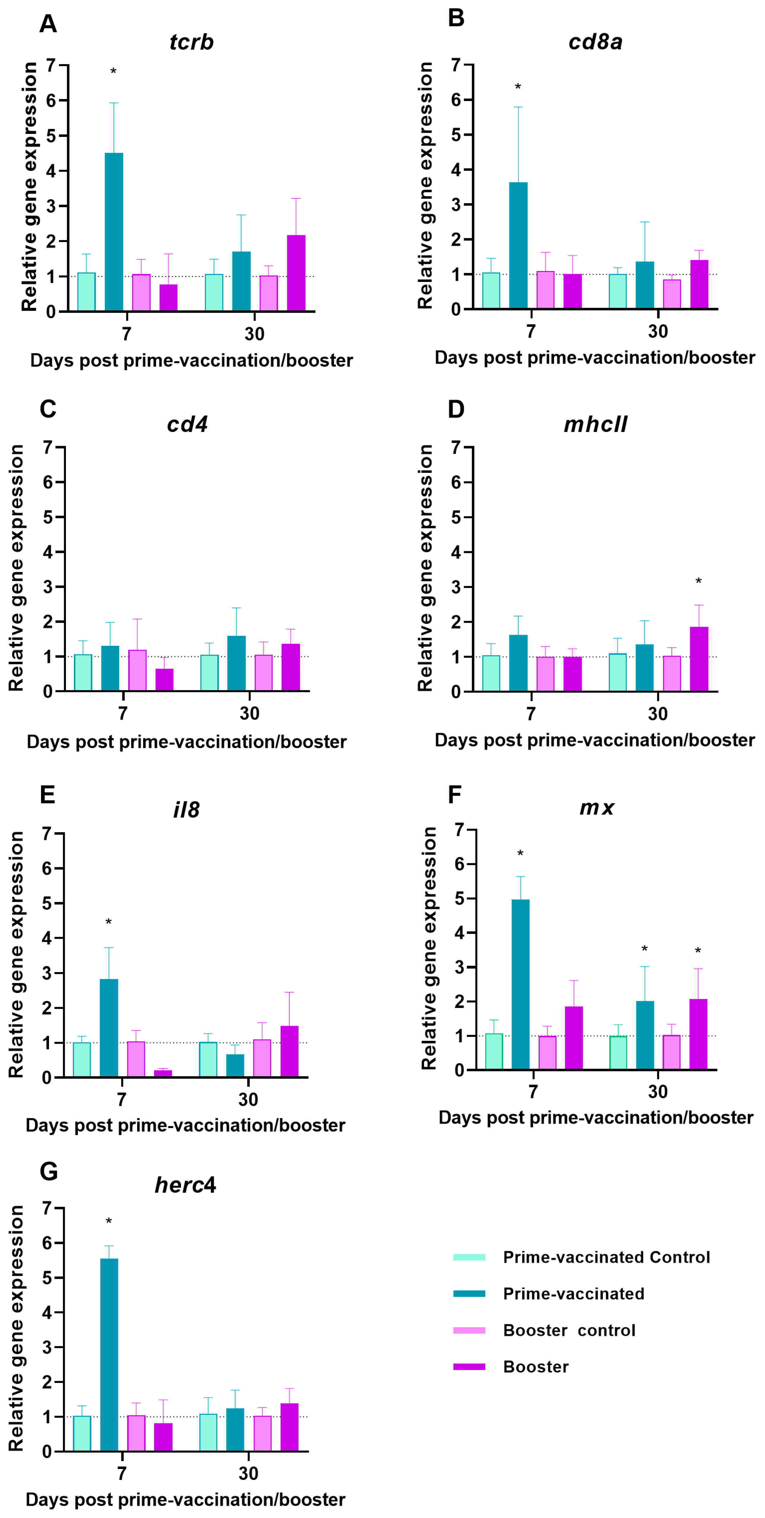 Animals 13 00051 g004