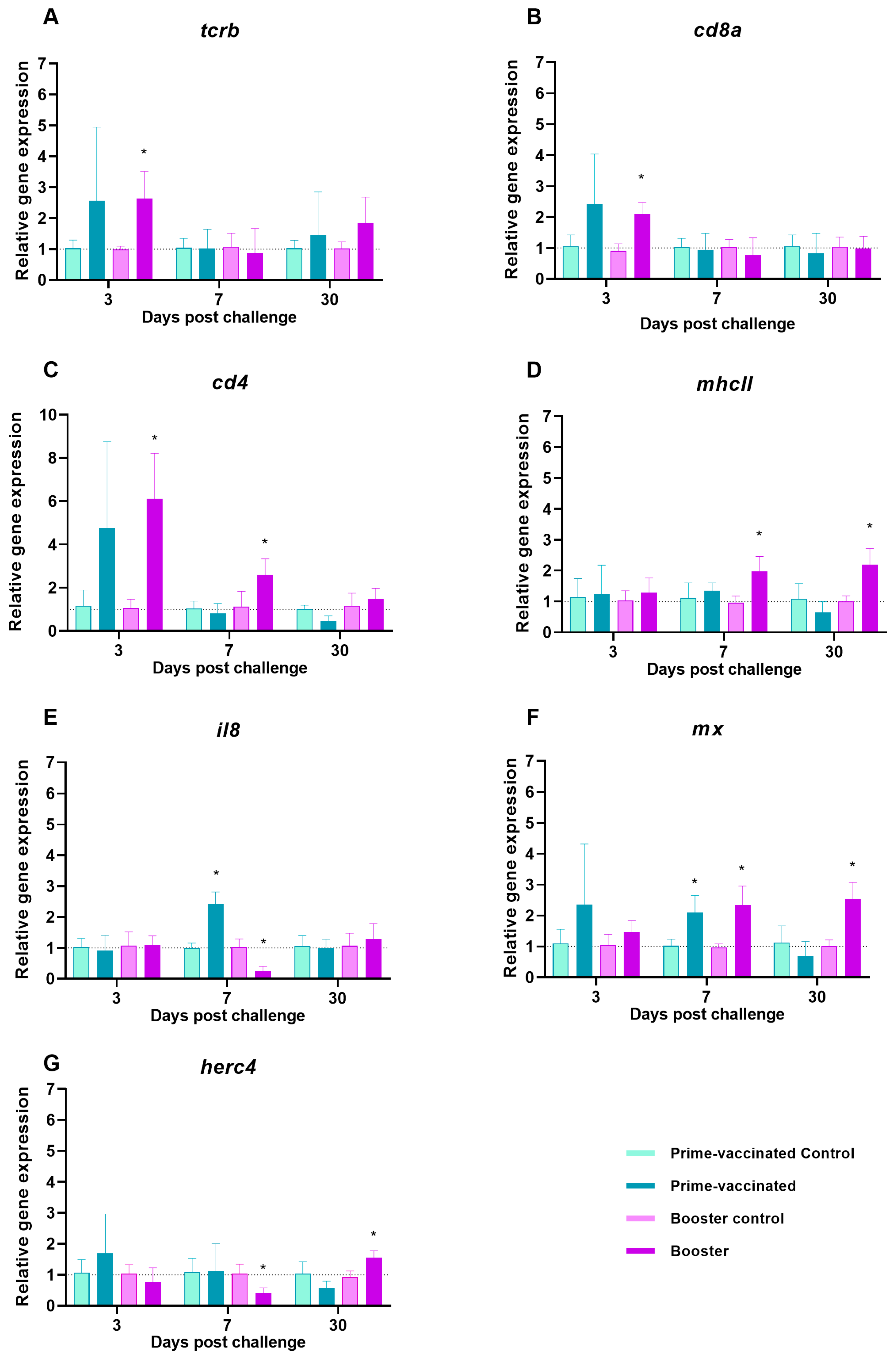 Animals 13 00051 g007