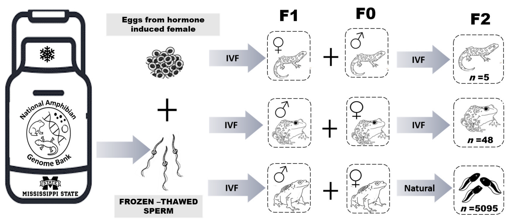 Animals 13 00053 g002