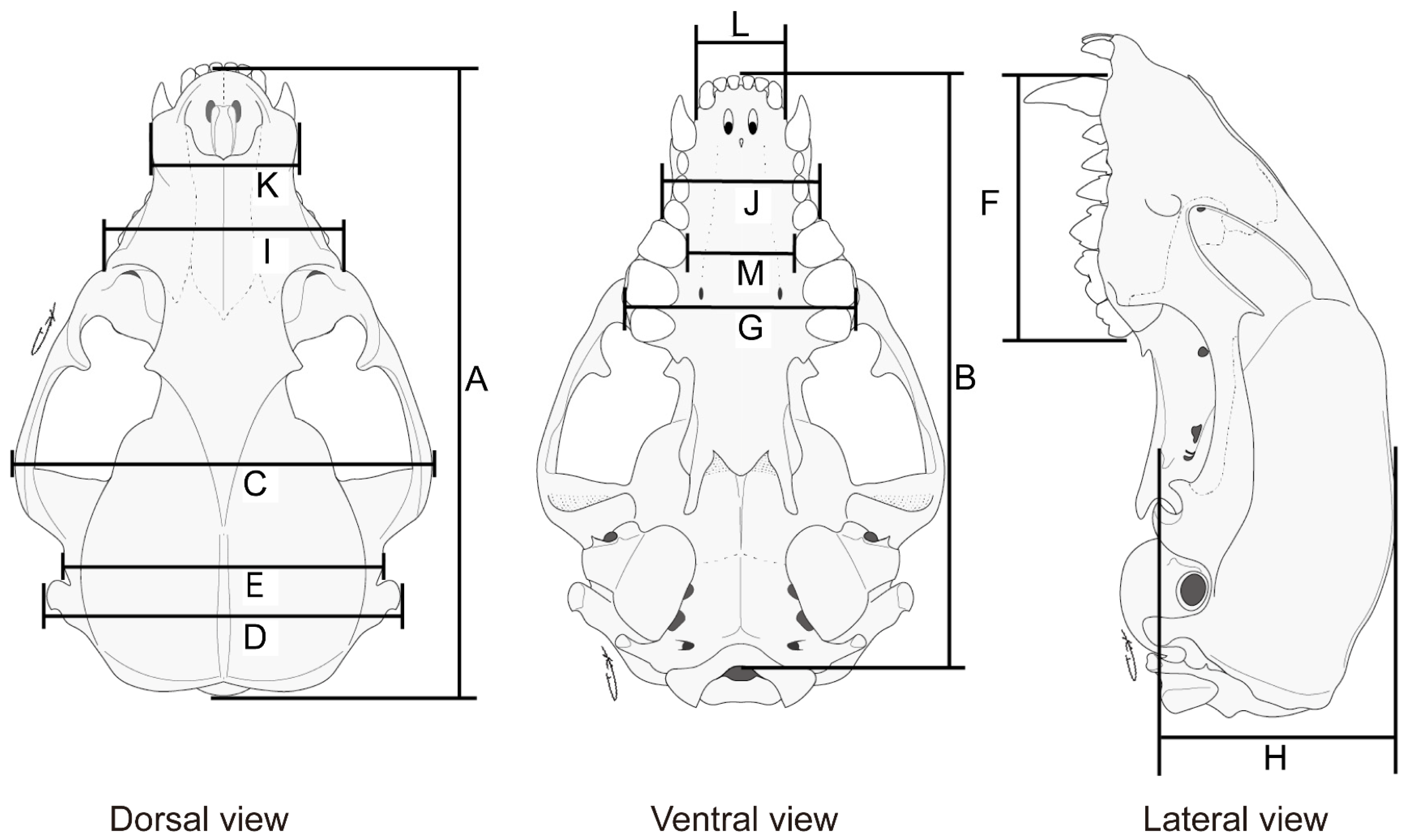Animals 13 00055 g001