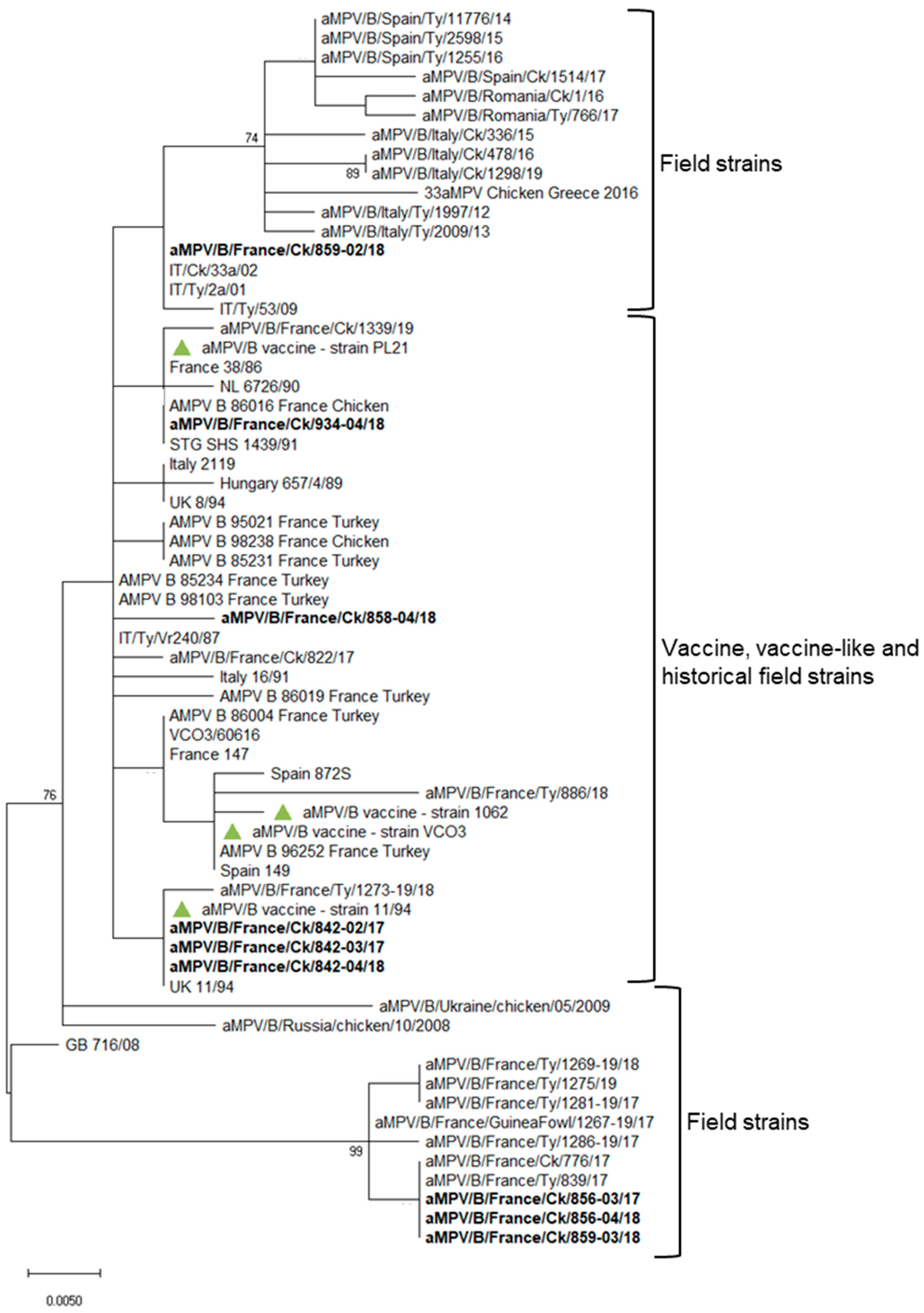 Animals 13 00057 g002