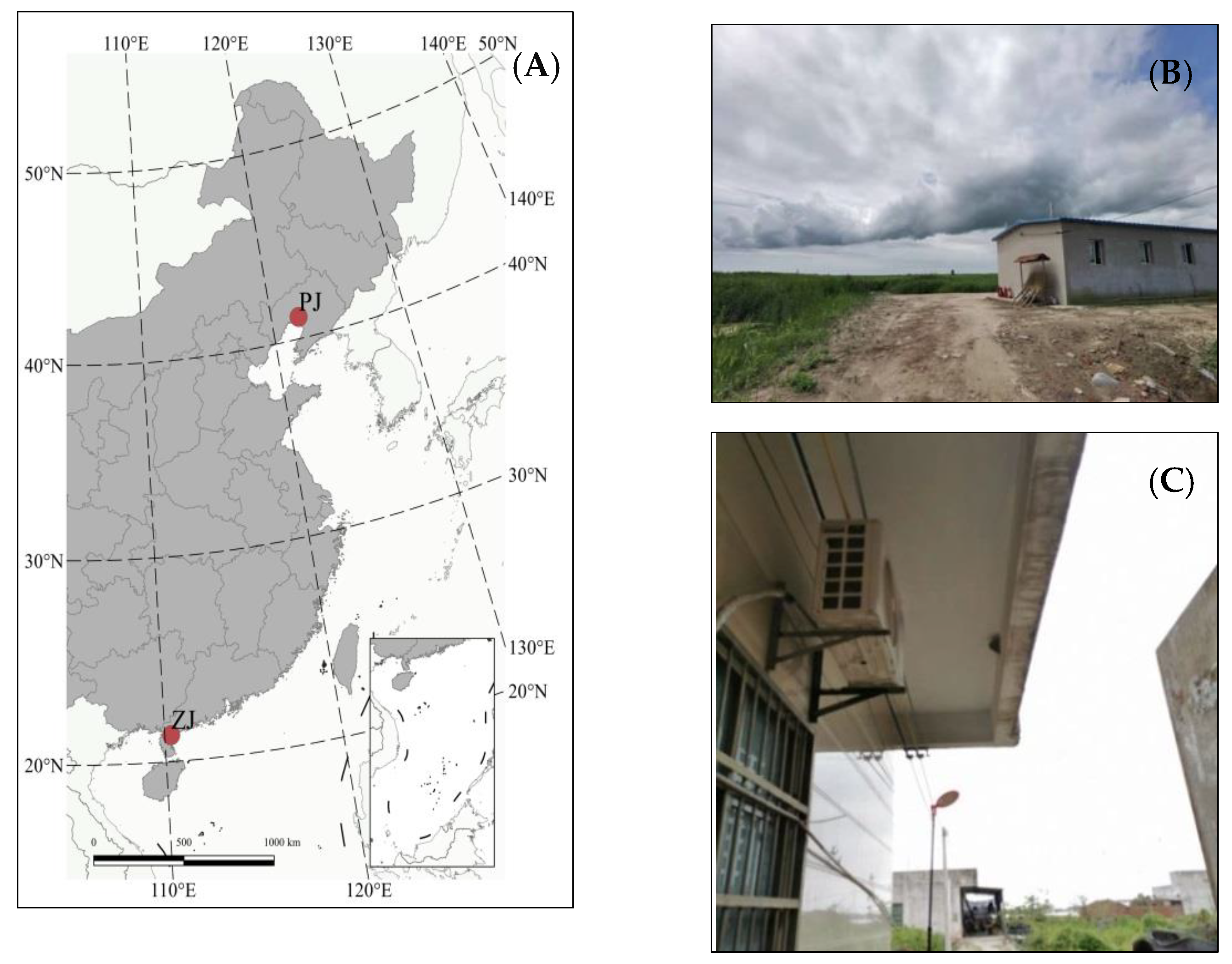 Animals 13 00062 g001 Animals 13 00062 g001