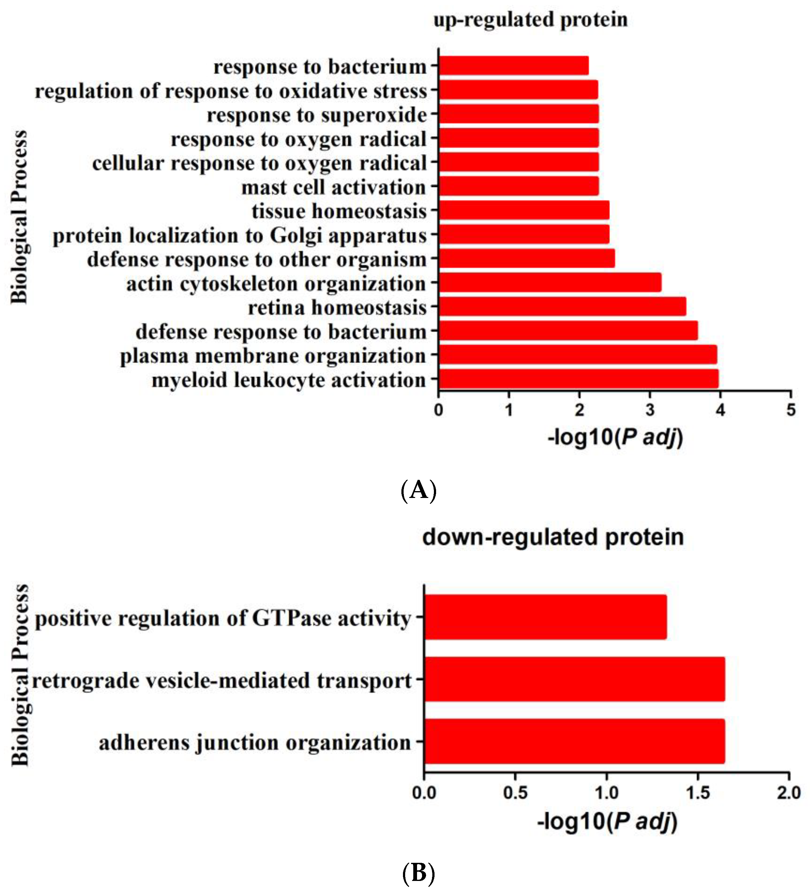 Animals 13 00078 g004a