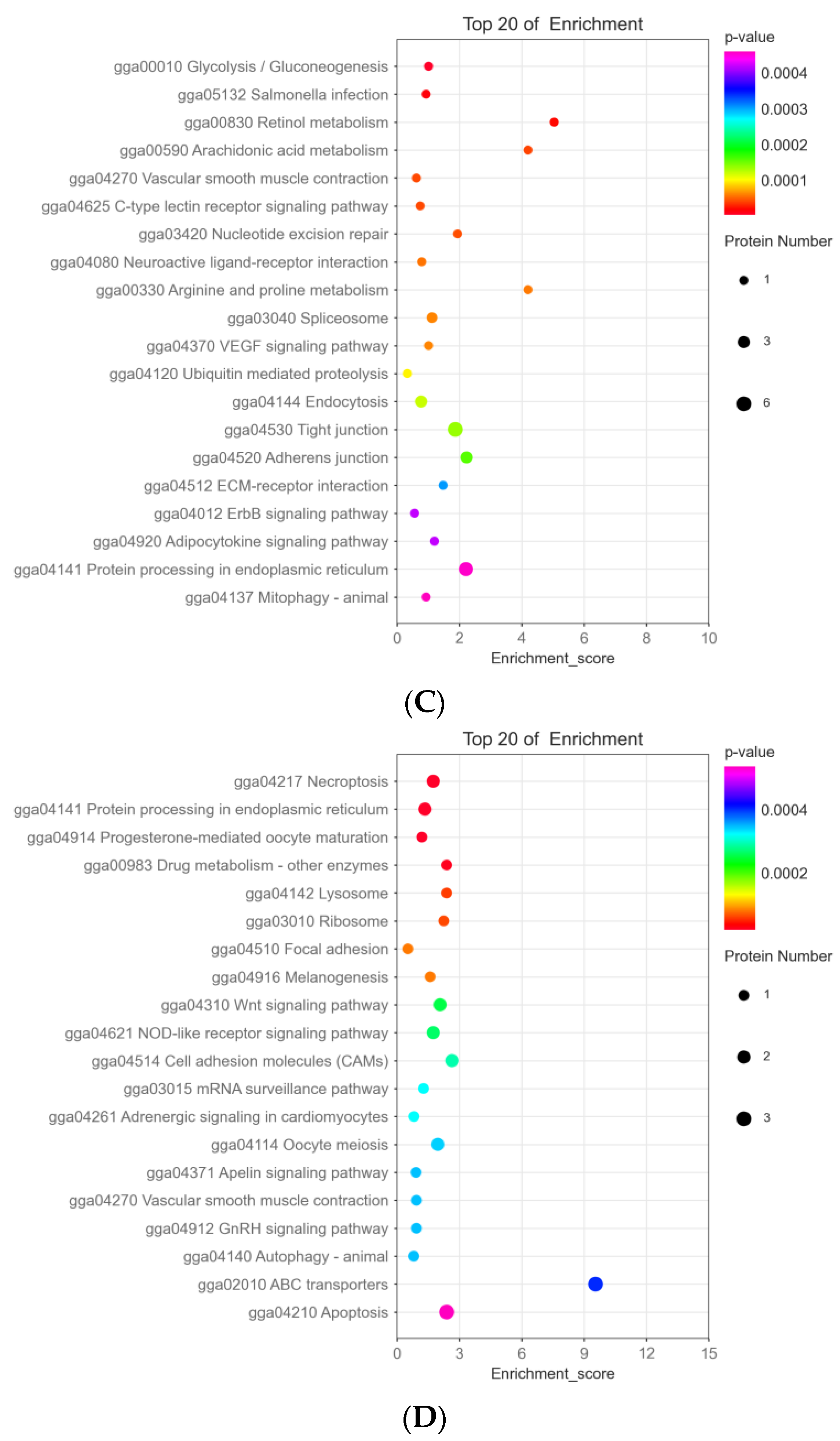 Animals 13 00078 g004b